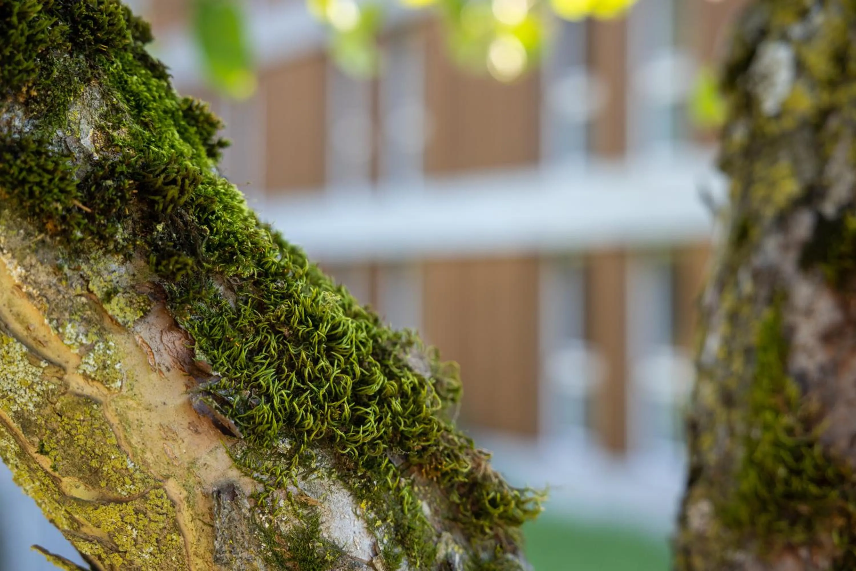 Property building in B&B Hotel Mattli Übernachtung Frühstück