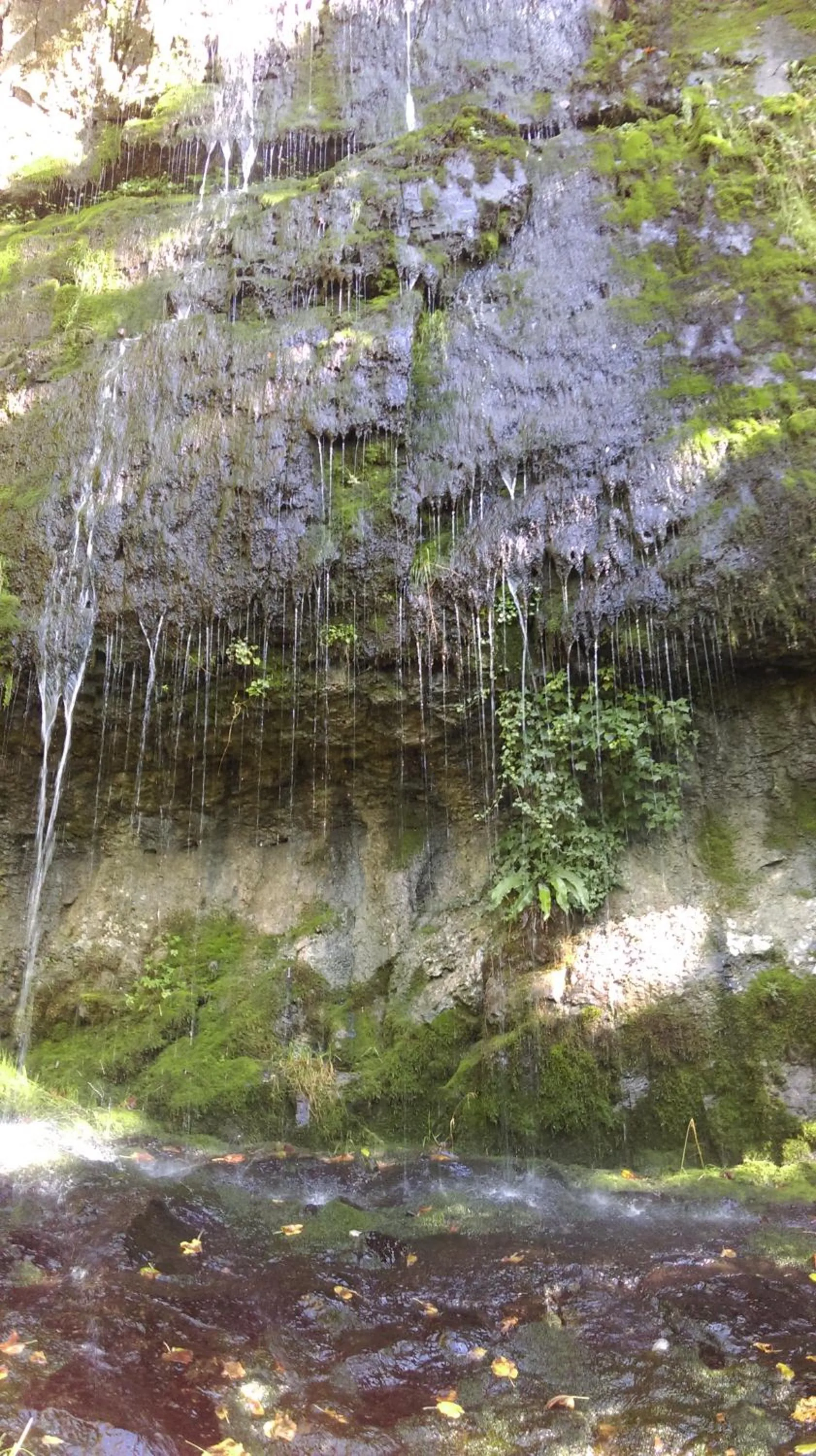 Hiking in B&B Hotel Mattli Übernachtung Frühstück