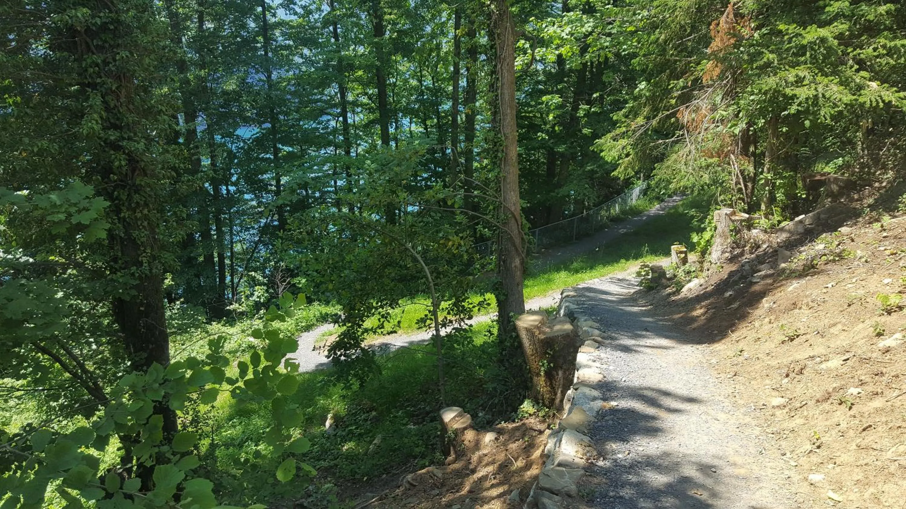 Natural landscape in B&B Hotel Mattli Übernachtung Frühstück