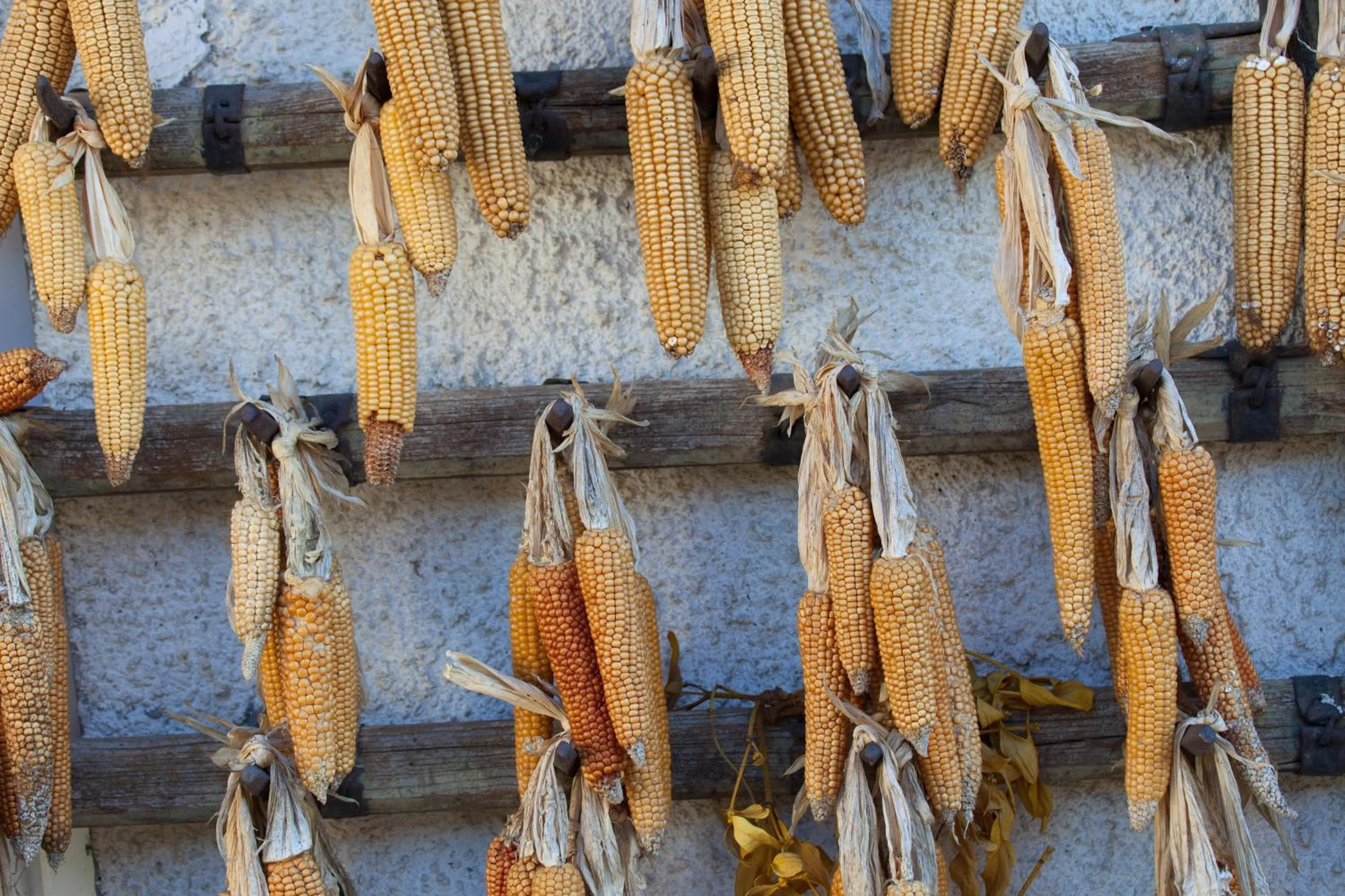 Other in Pleschinhof