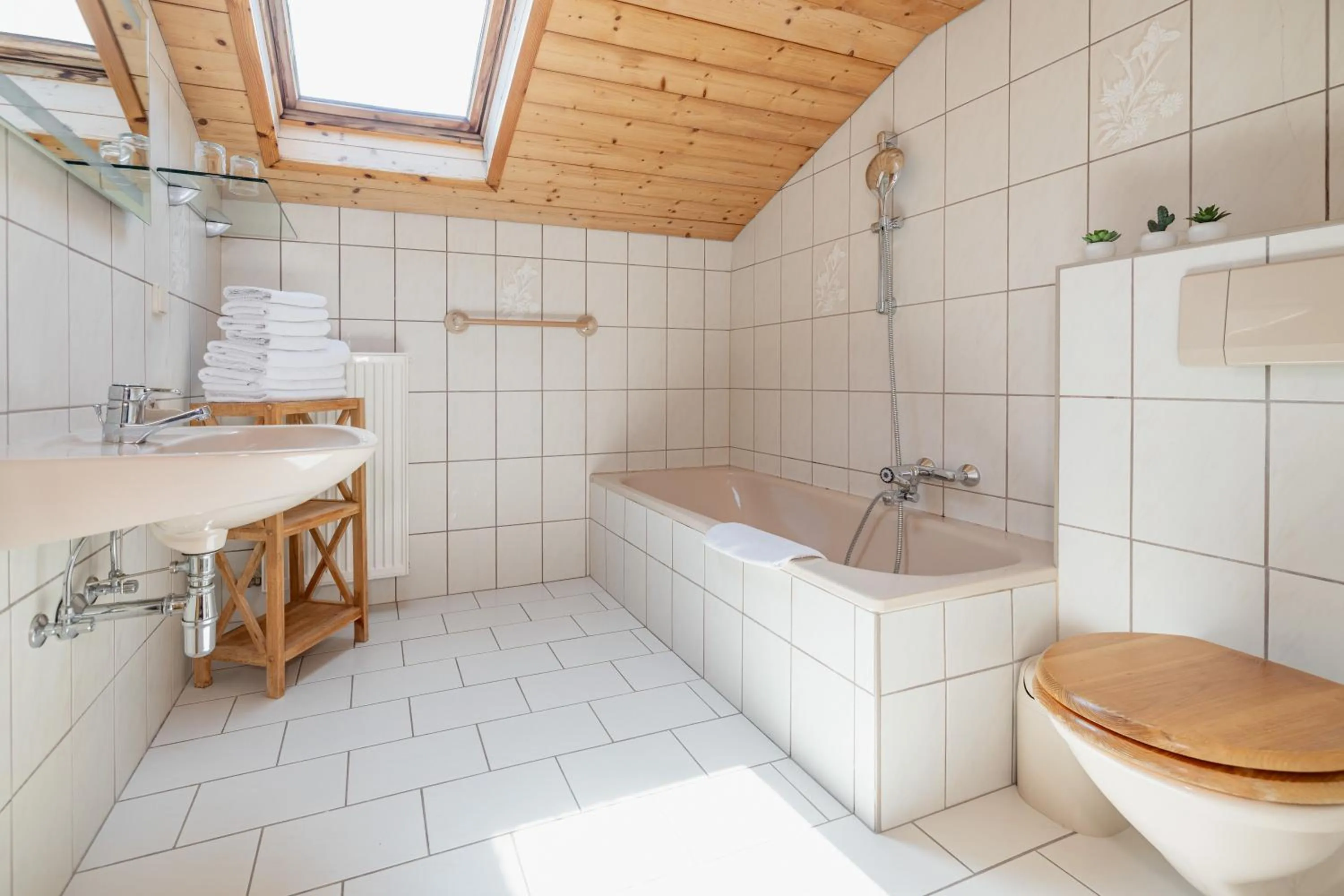 Shower in Pleschinhof