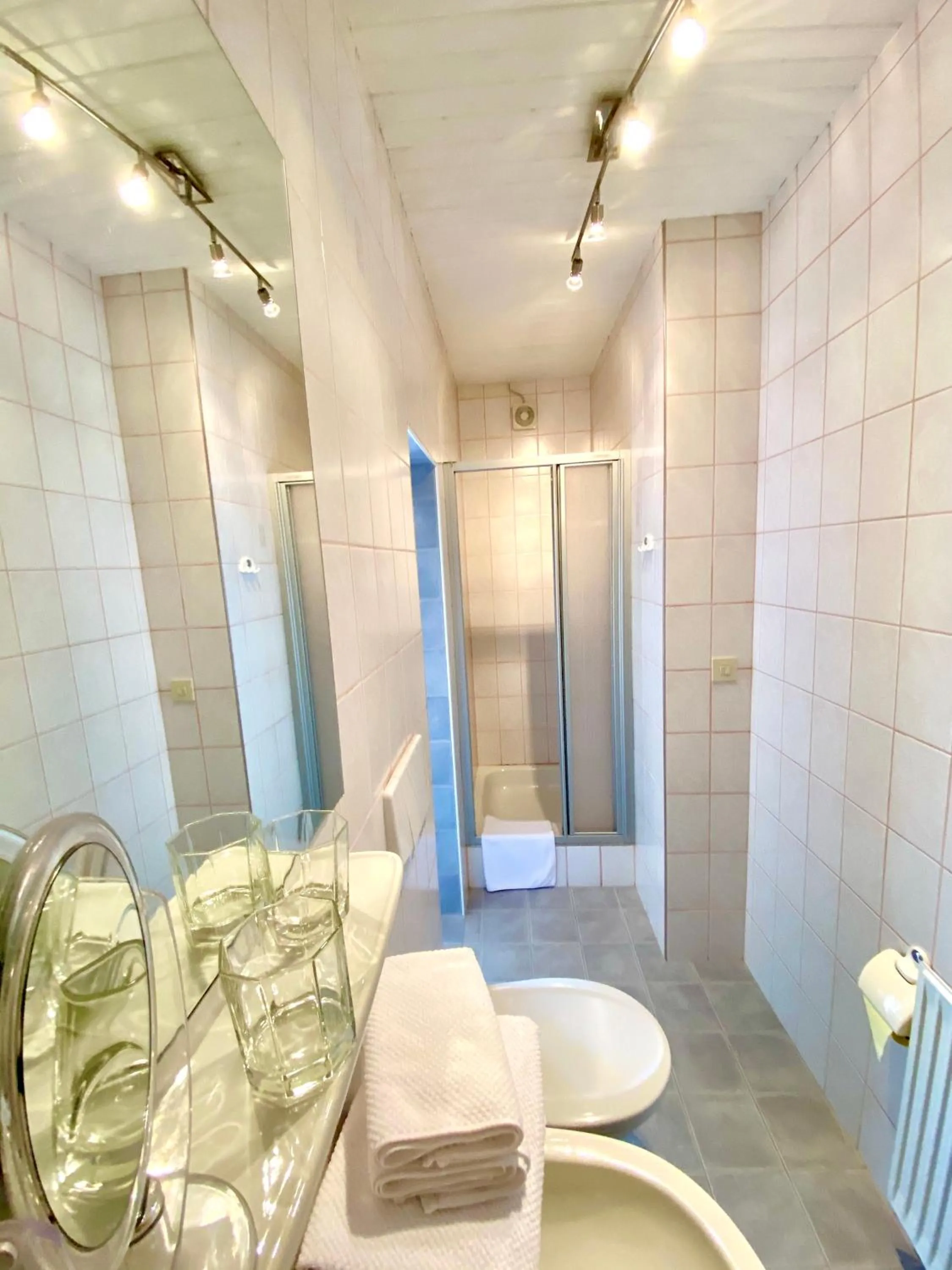 Bathroom in Pleschinhof