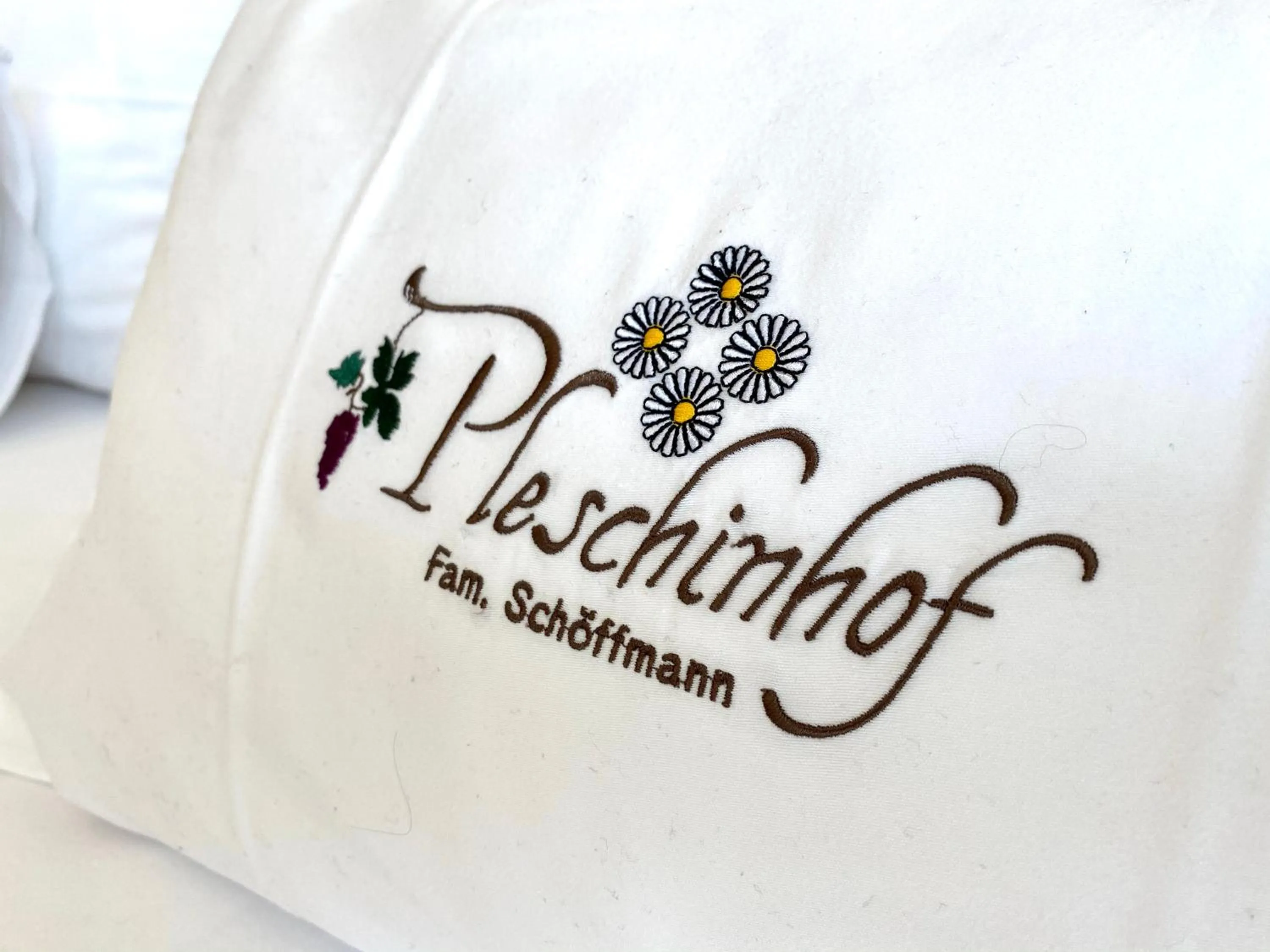 Decorative detail in Pleschinhof