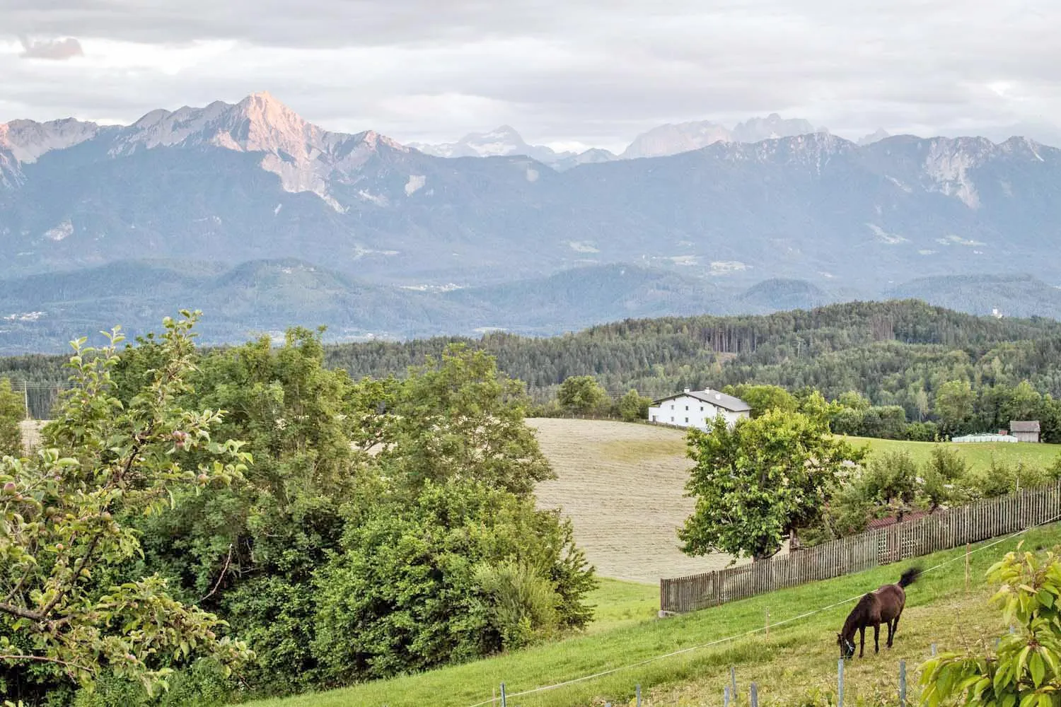 Mountain view in Pleschinhof