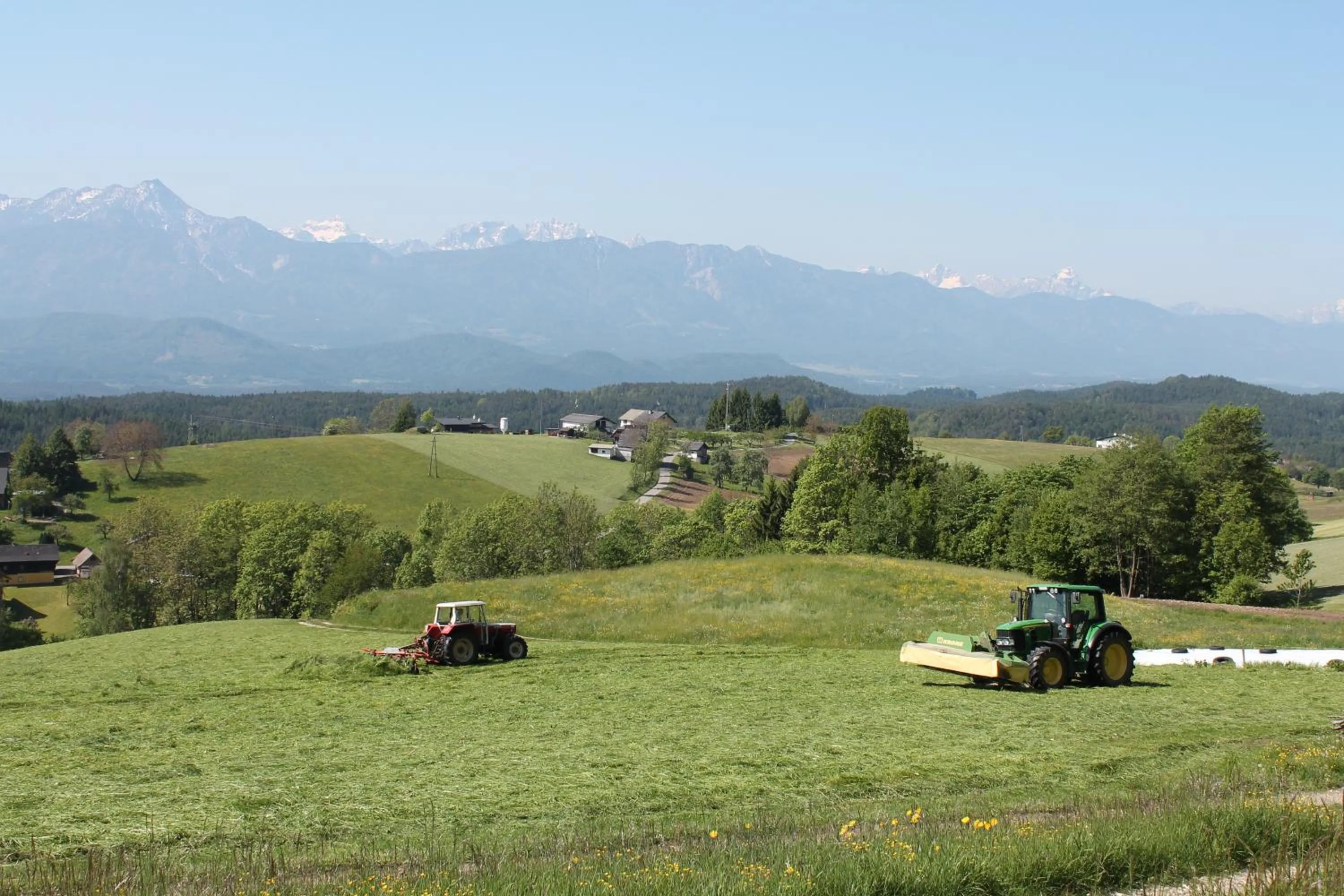 Natural landscape in Pleschinhof