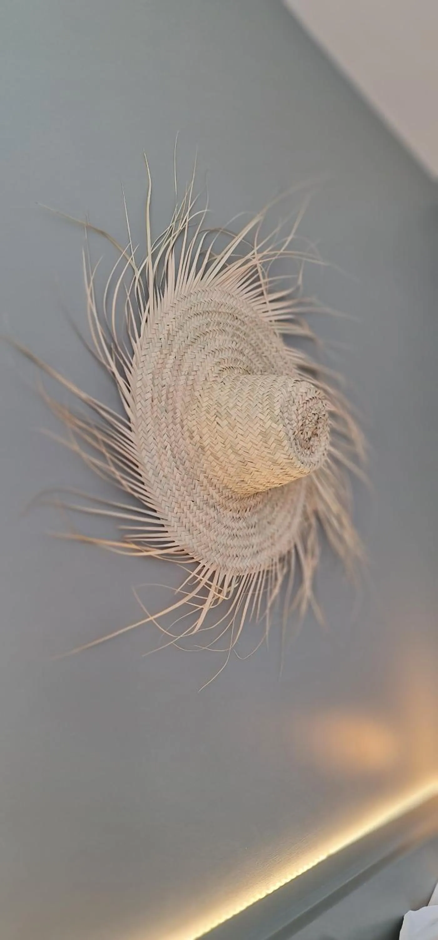 Decorative detail in Hôtel Le C - Boutique Hôtel