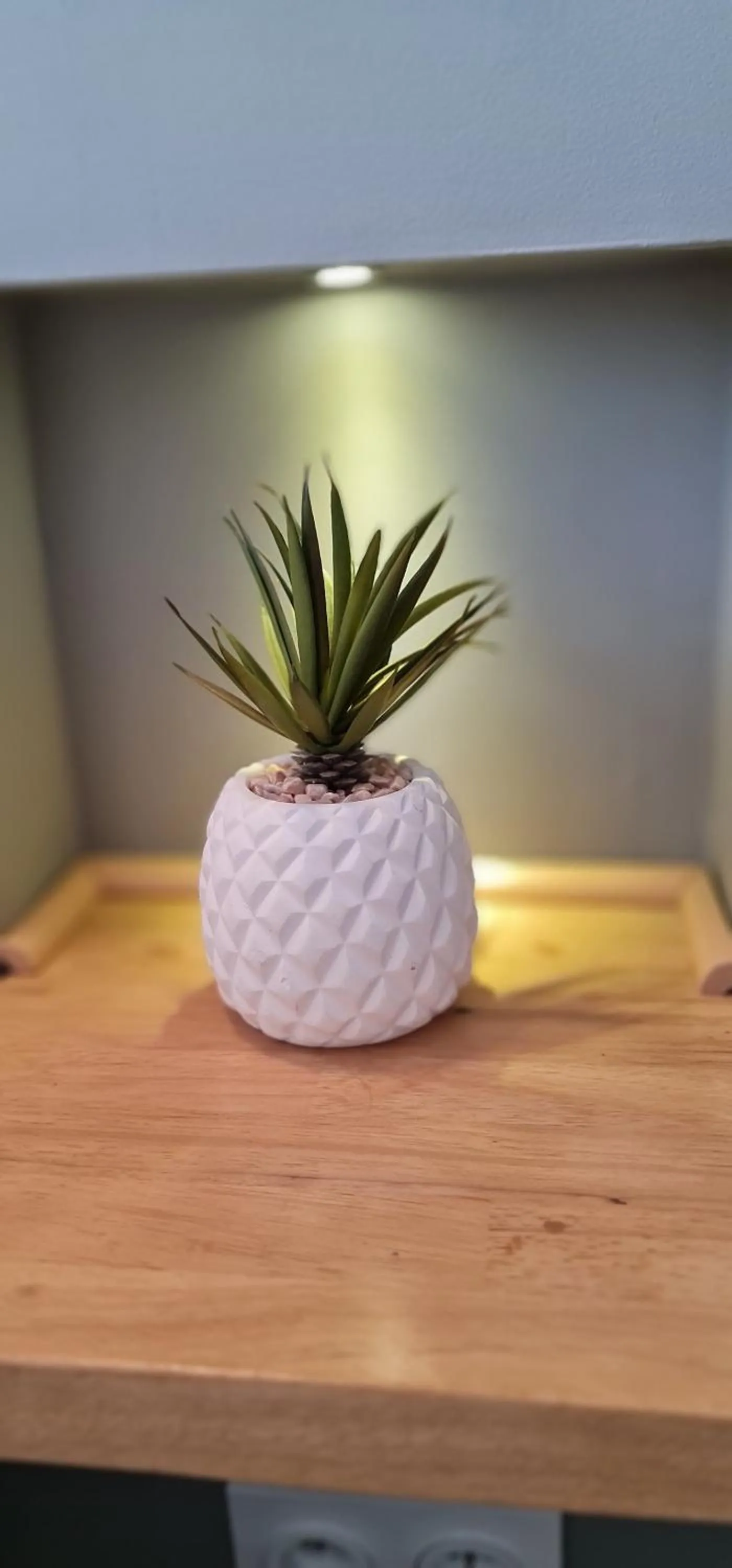 Decorative detail in Hôtel Le C - Boutique Hôtel