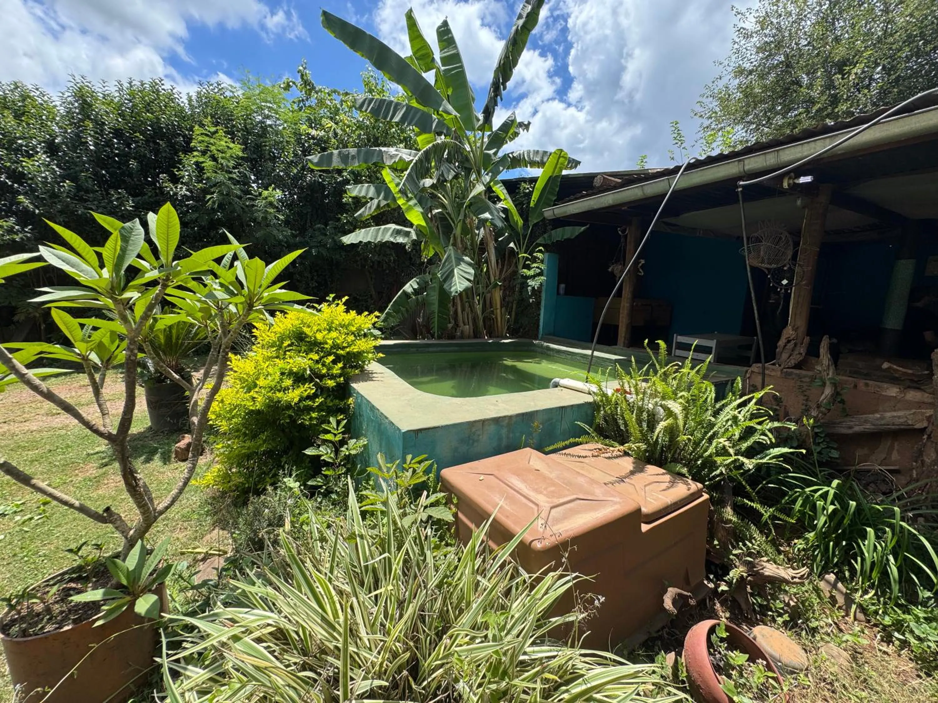 Garden in Sabie Gypsy's Backpackers