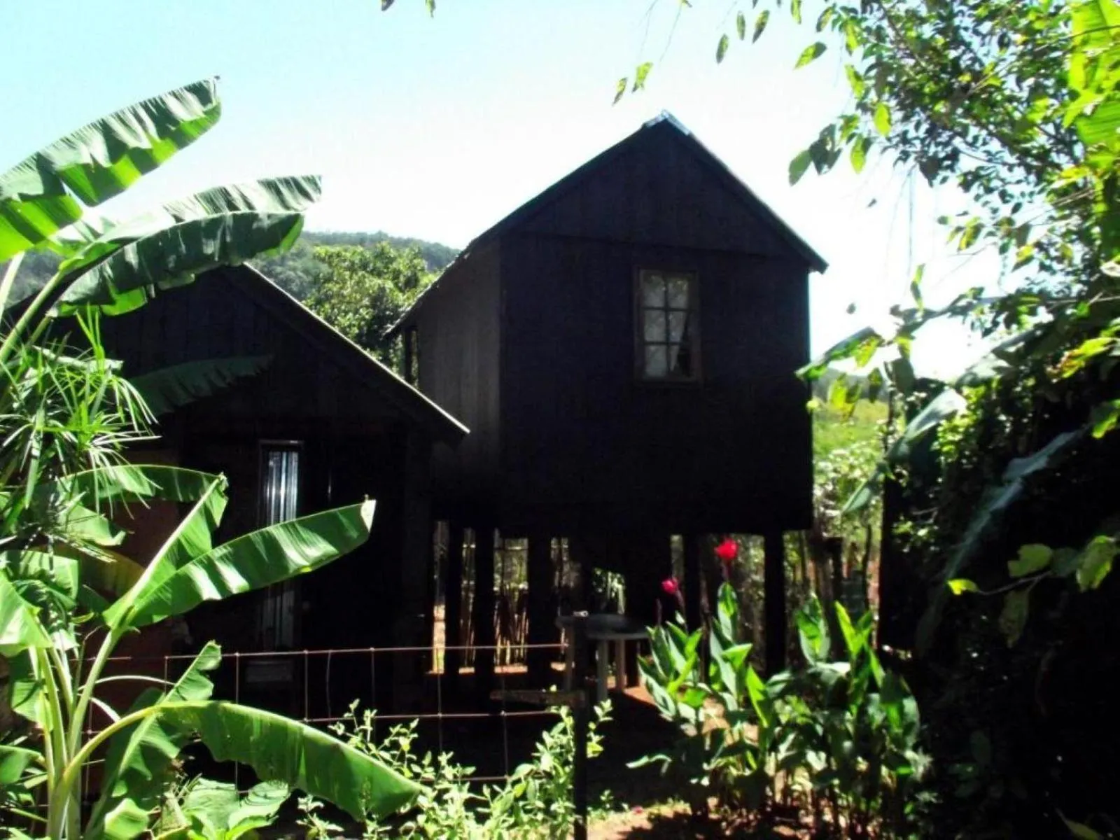 Garden in Sabie Gypsy's Backpackers
