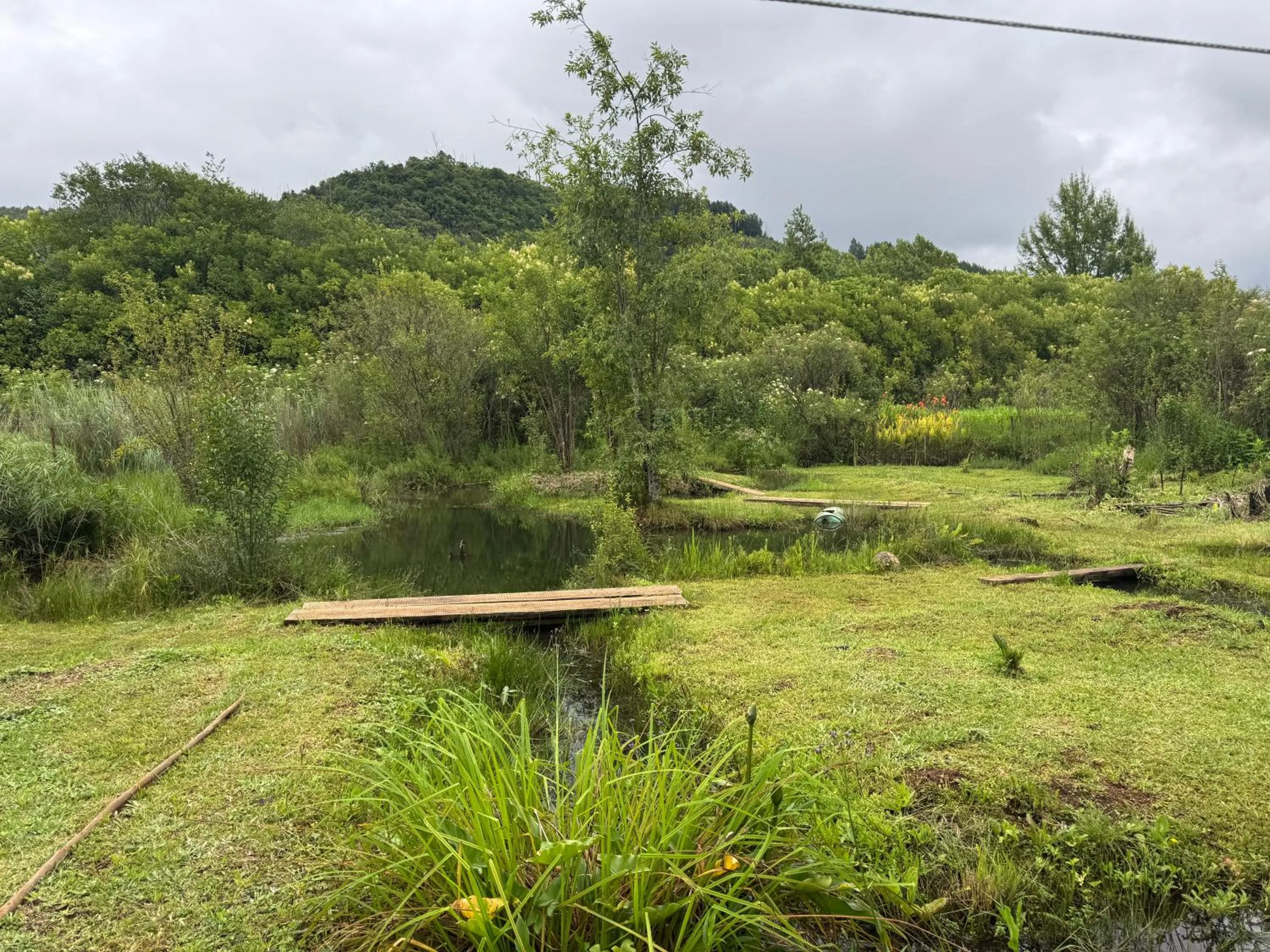 Garden in Sabie Gypsy's Backpackers