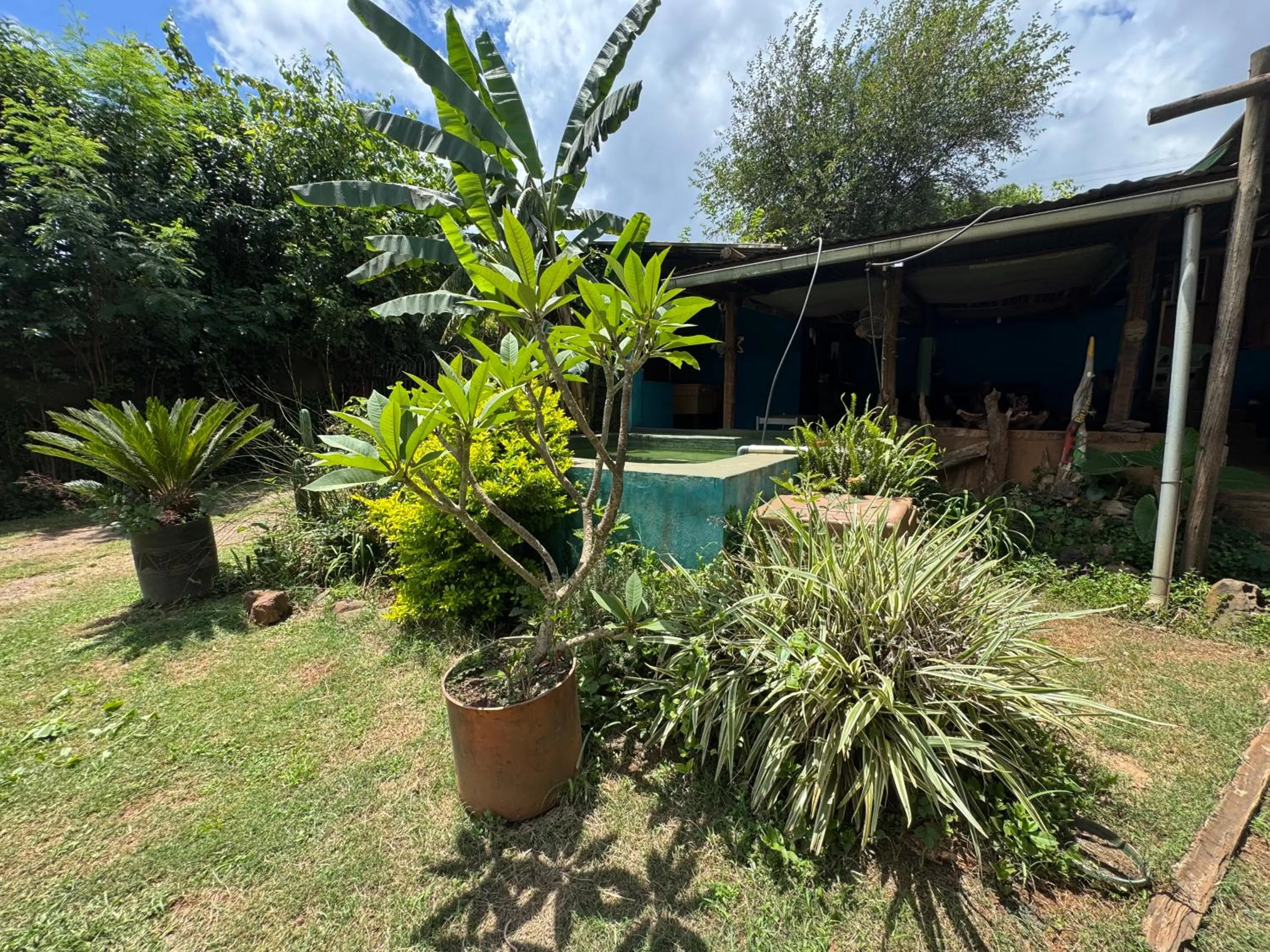 Garden in Sabie Gypsy's Backpackers