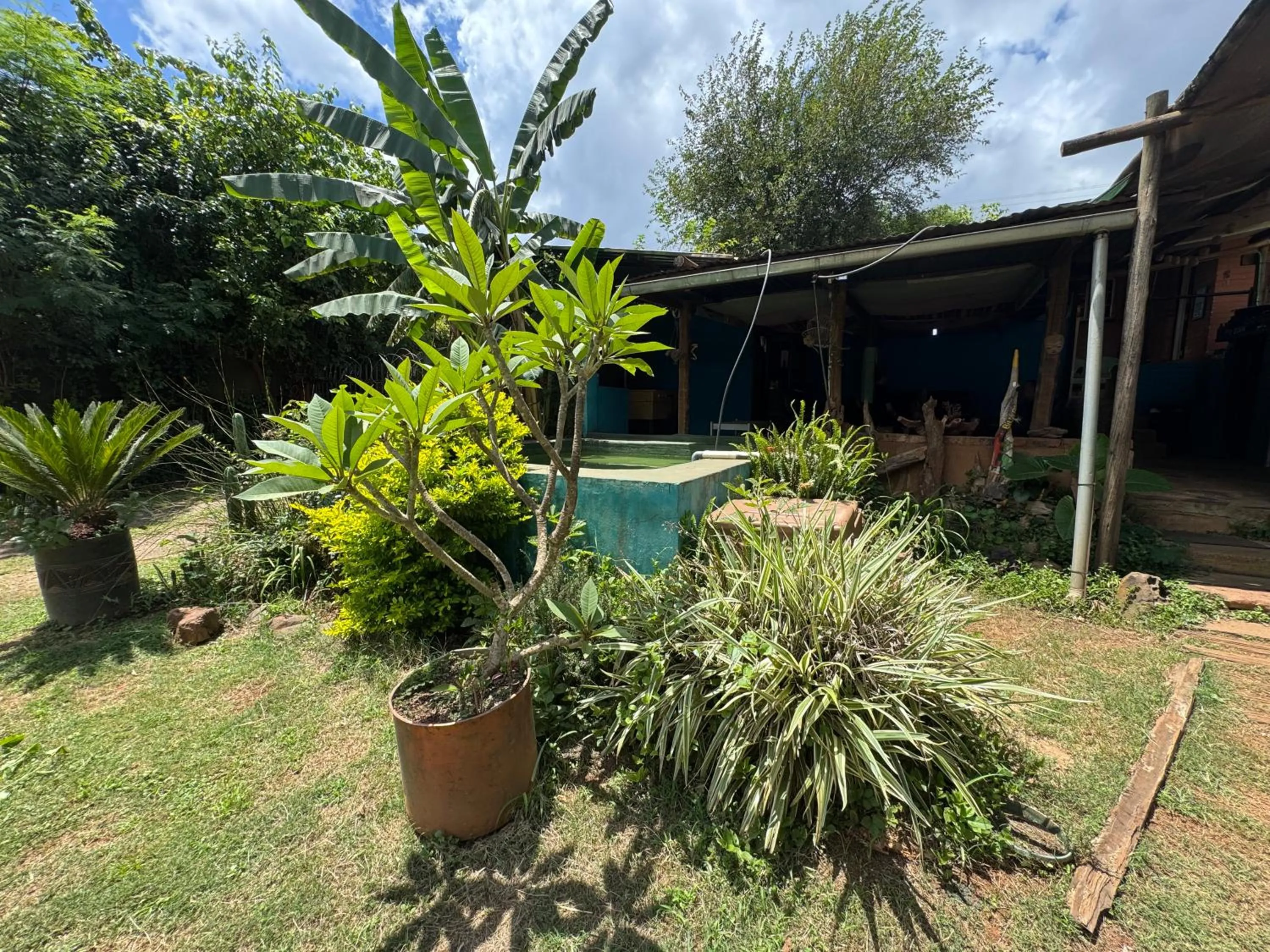 Garden in Sabie Gypsy's Backpackers