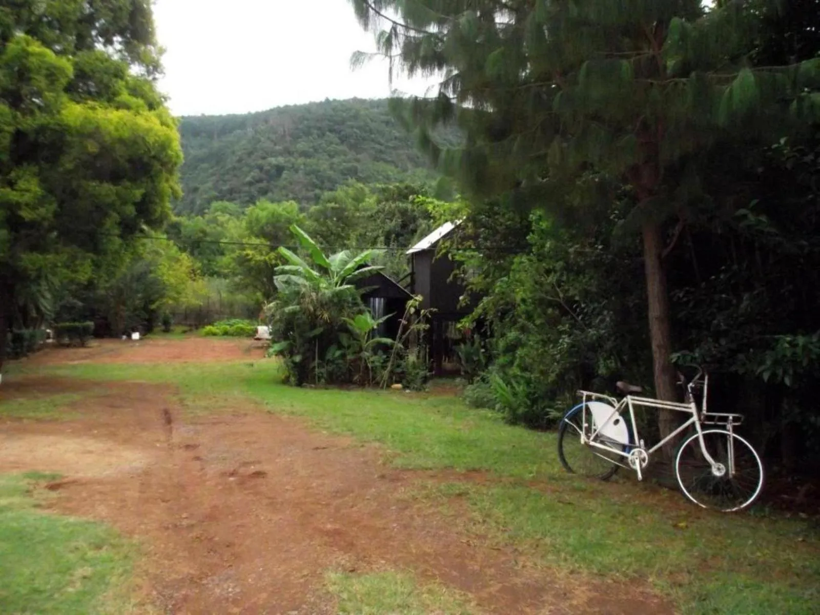 Garden in Sabie Gypsy's Backpackers