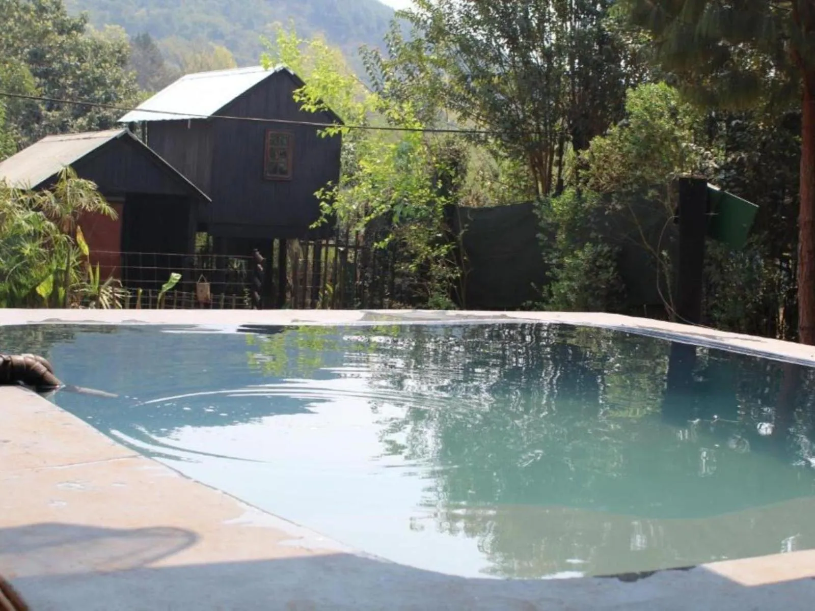 Garden in Sabie Gypsy's Backpackers