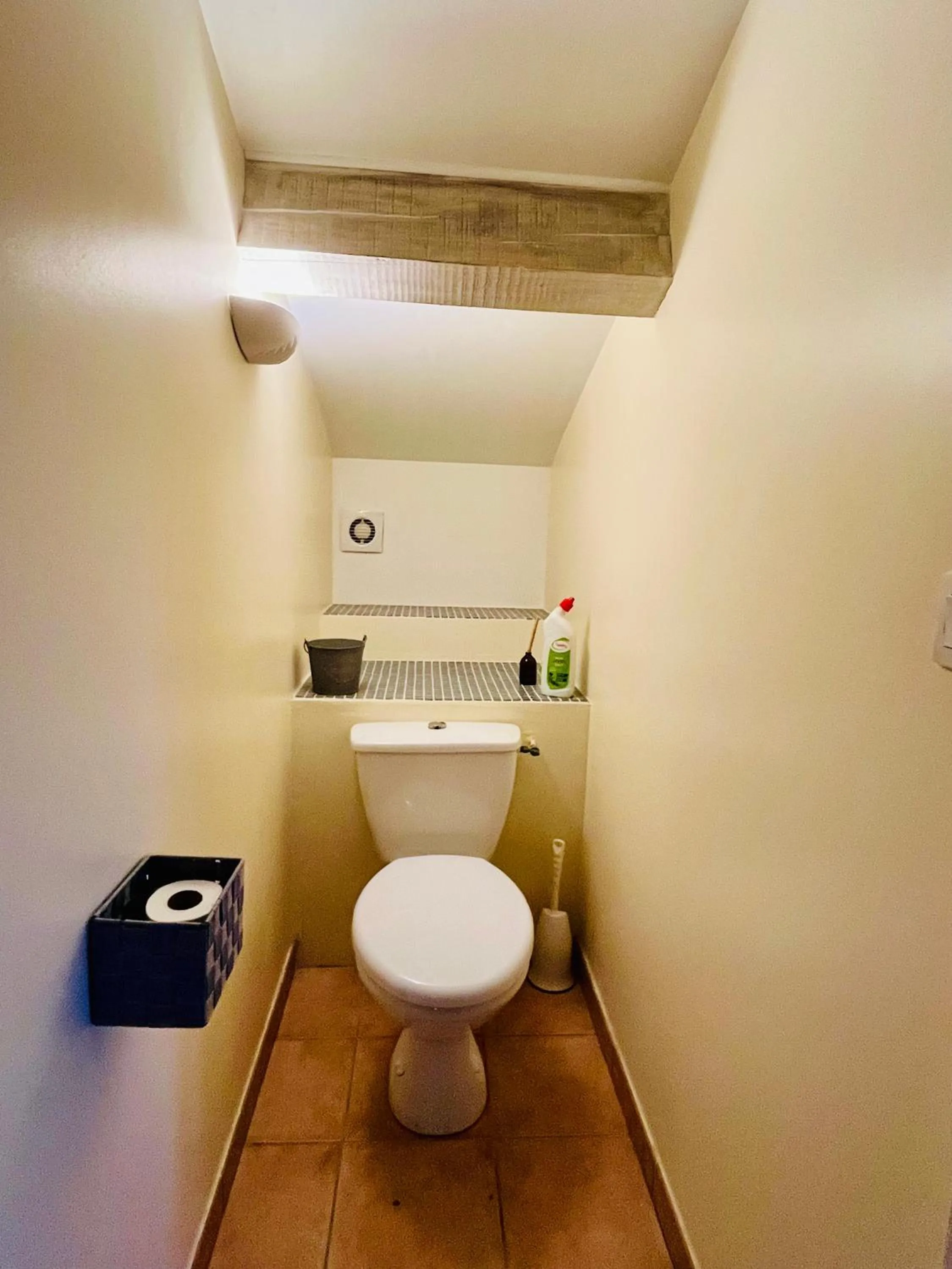 Toilet in Mas Saint-Ange