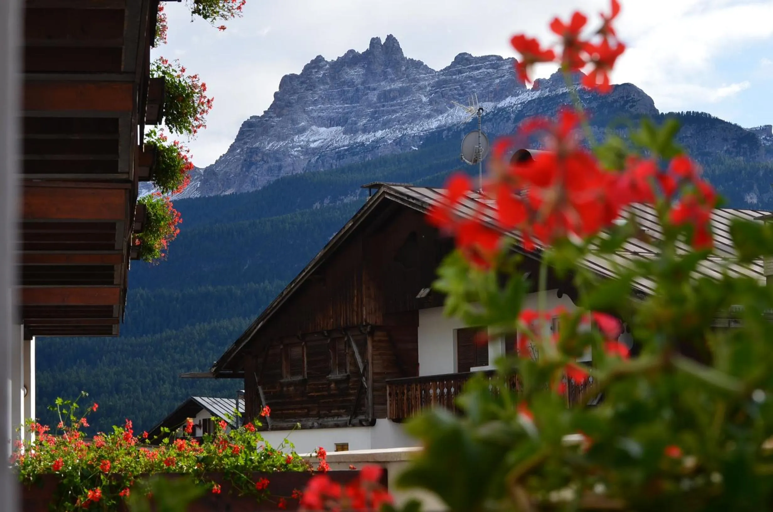Balcony/Terrace in Hotel Cristallino d'Ampezzo
