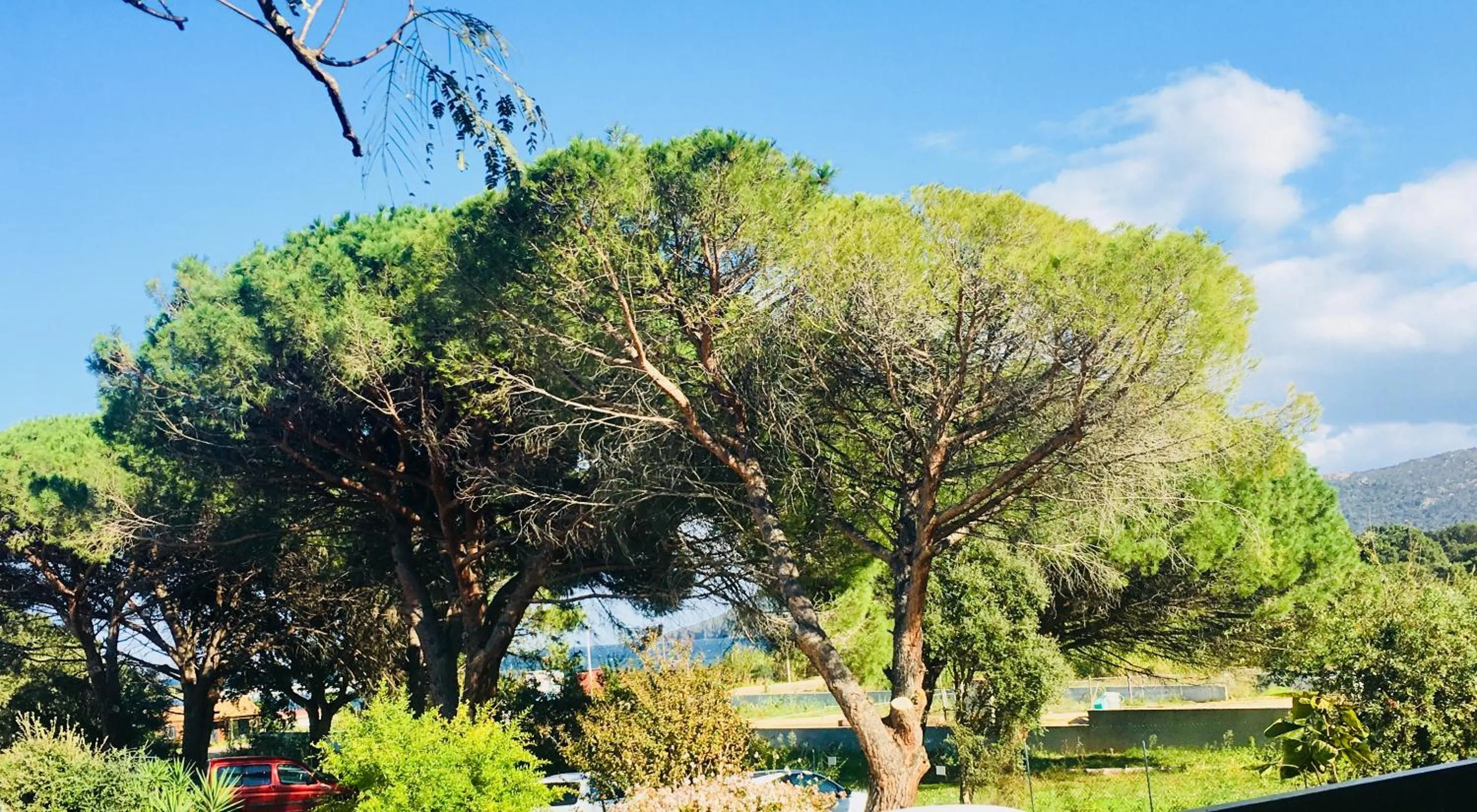 View (from property/room) in Bungalows Filippi