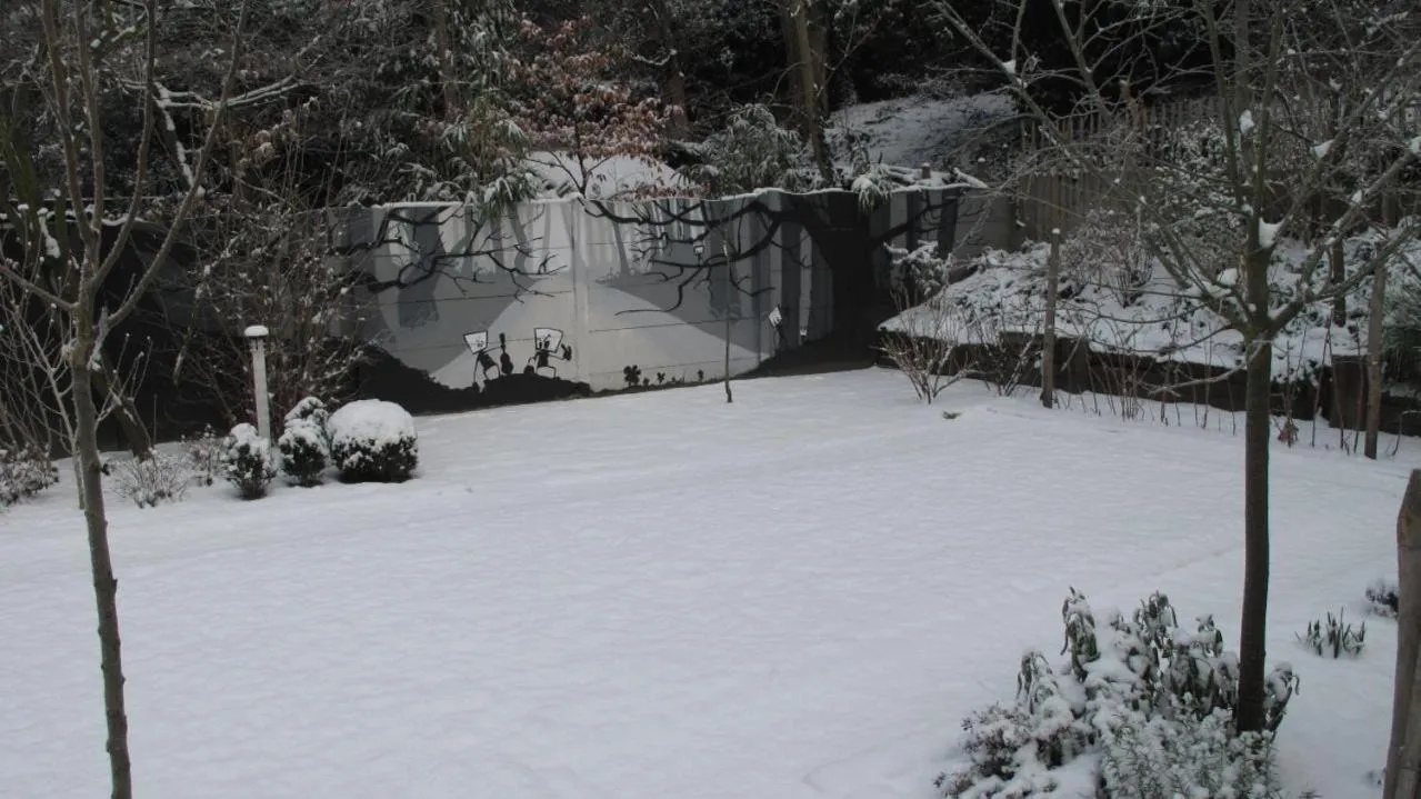 Winter in Hotel Guesthouse Begijnhof