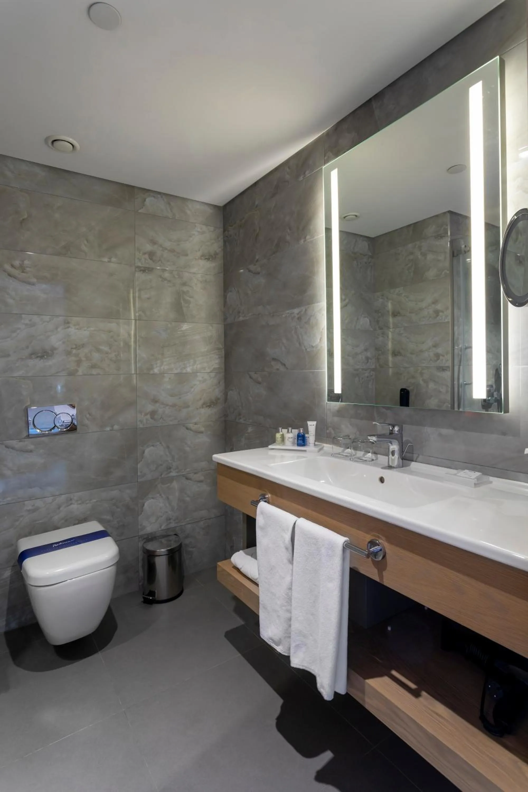 Bathroom in Radisson Blu Hotel Trabzon