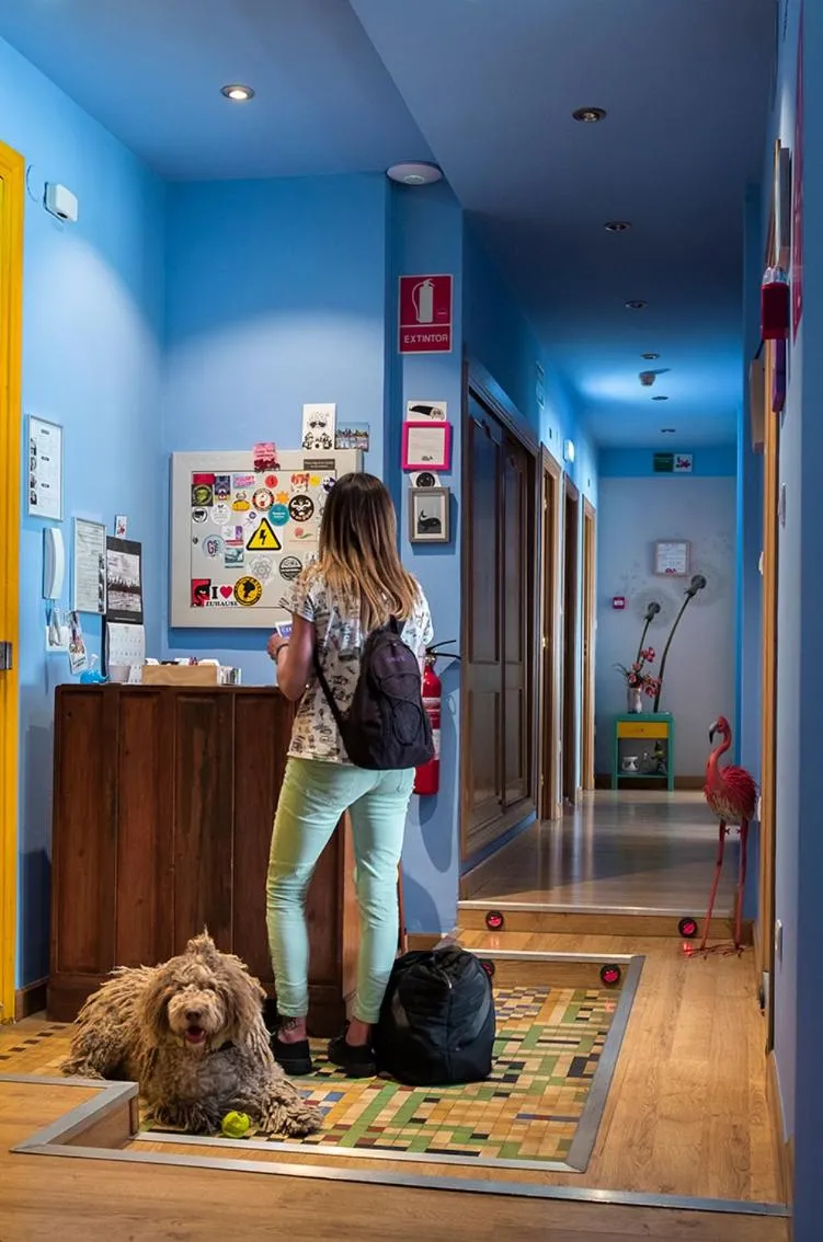 Lobby or reception in Balenax Pensión