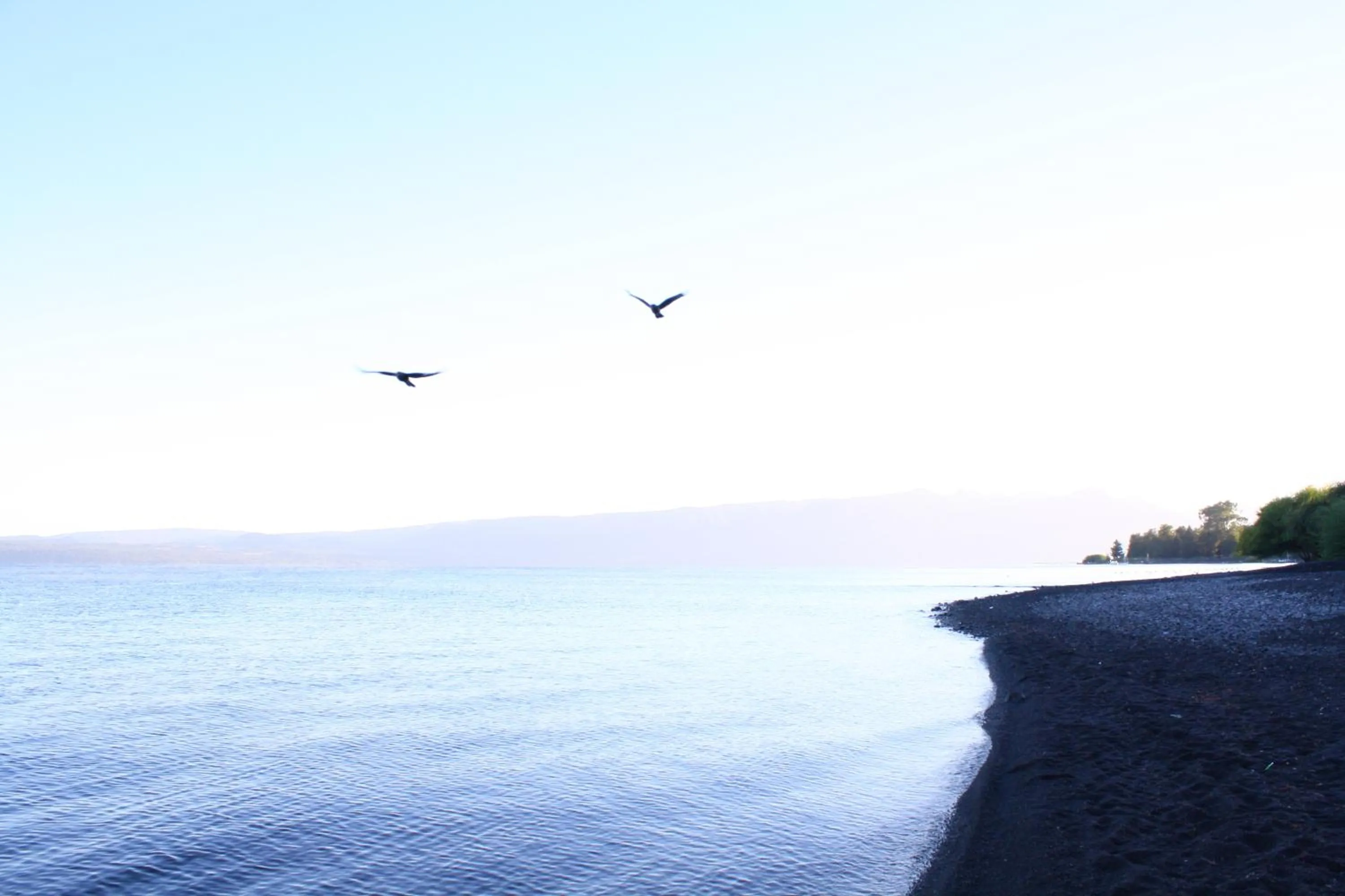 Natural landscape in Cabañas Playa Linda