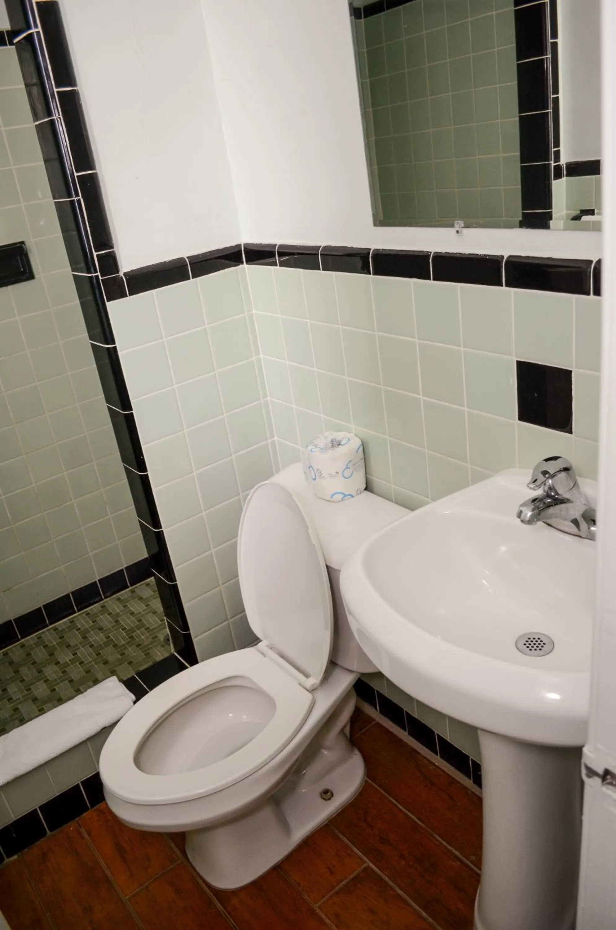 Bathroom in Economy Inn