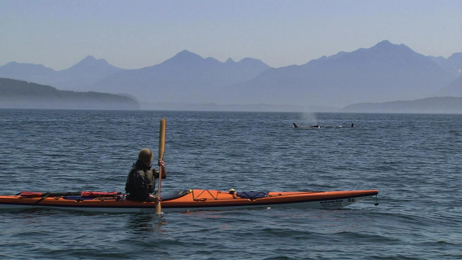 Activities in Painted Boat Resort Spa and Marina