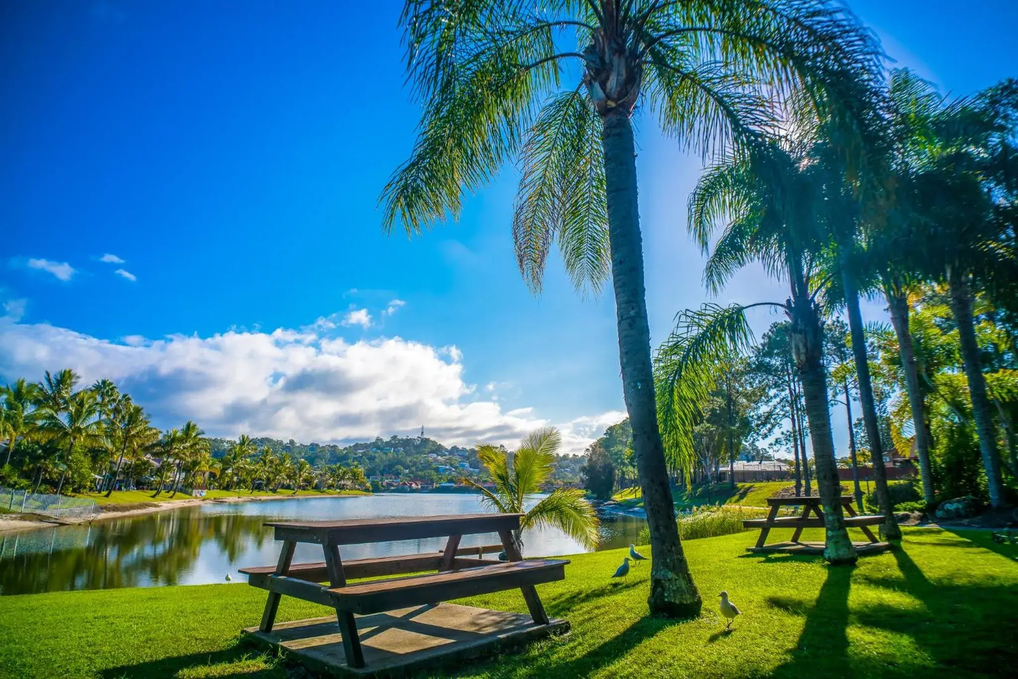 Lake view in Bay of Palms Lake view in Bay of Palms