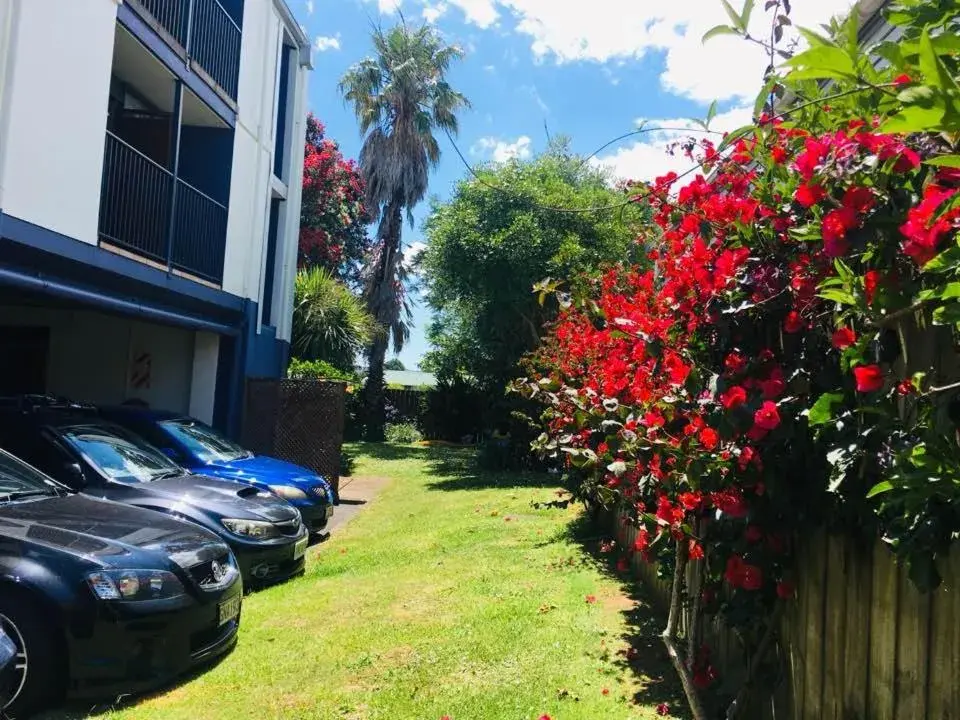 Garden view in City of Sails Motel Garden view in City of Sails Motel