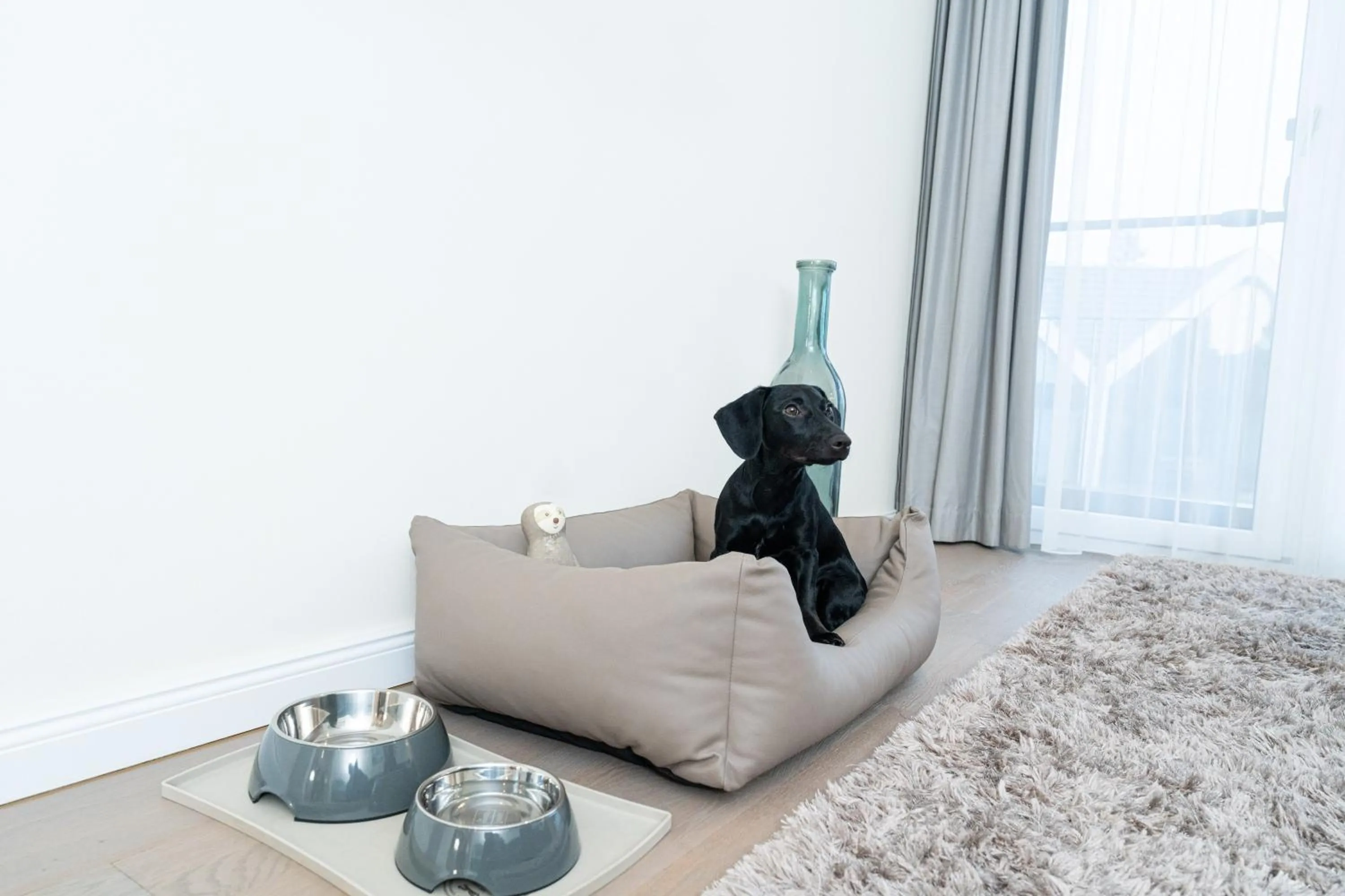 Pets in Maremüritz Yachthafen Resort