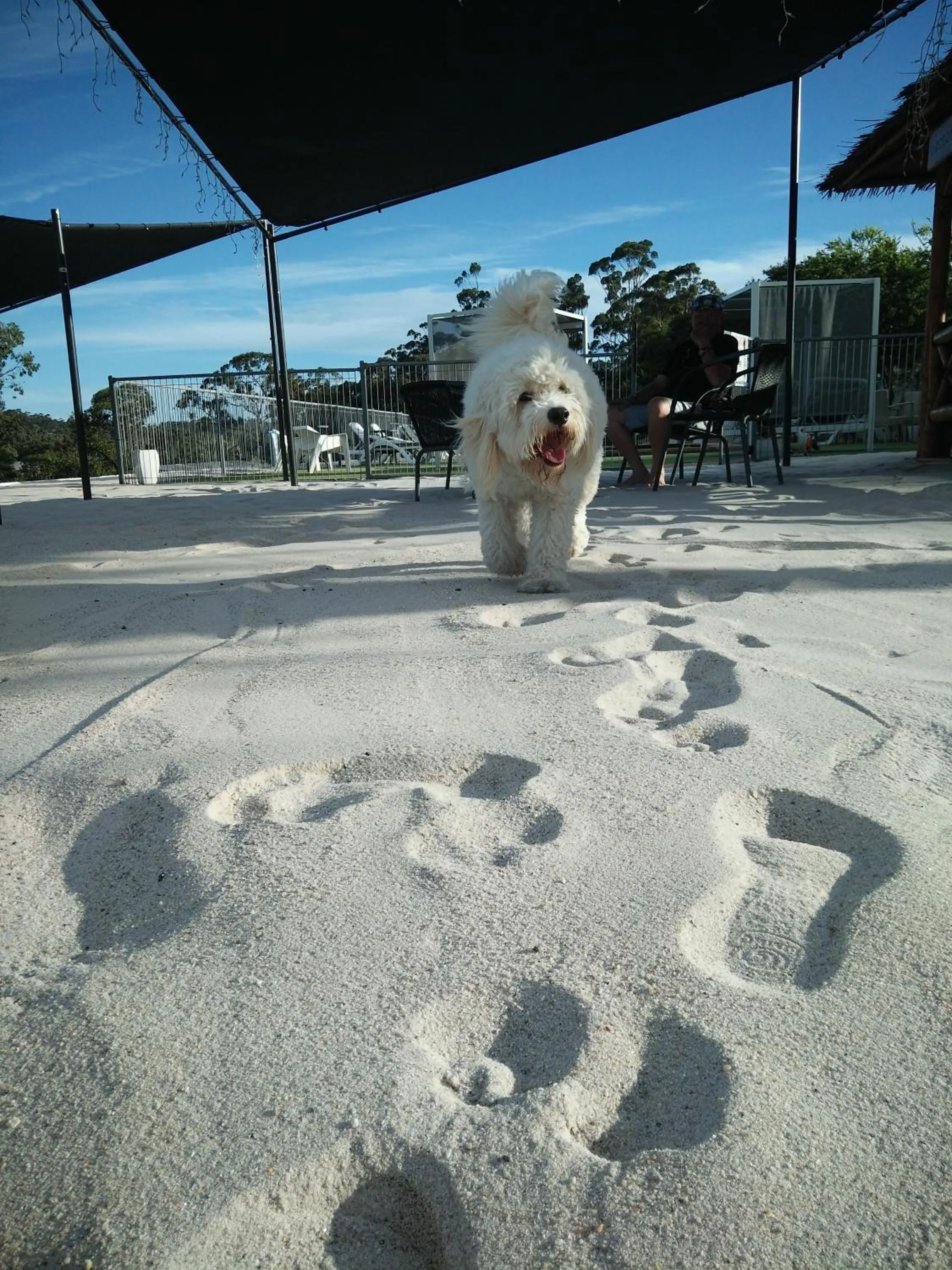 BBQ facilities in Clare Valley Motel