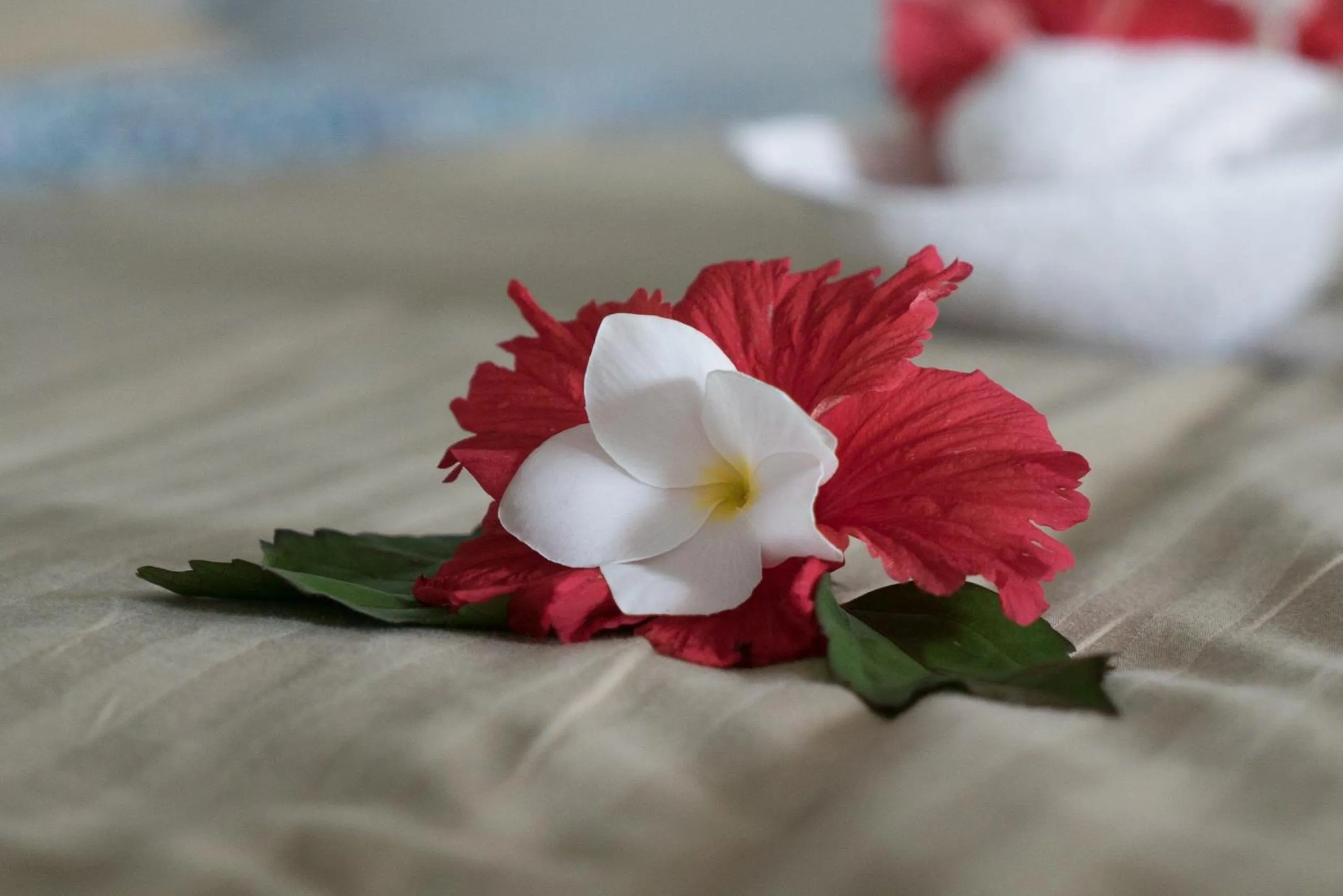 Bed in Zanzibar Bay Resort & Spa