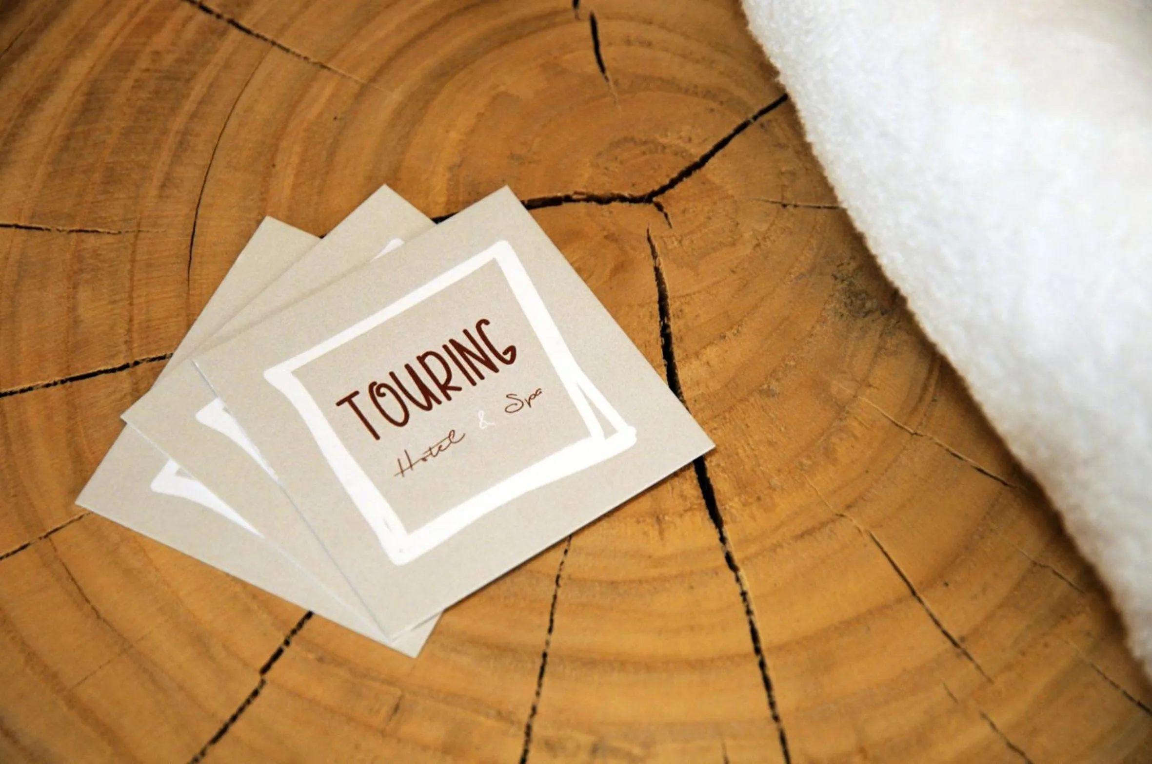 Property logo or sign in TOURING HOTEL & SPA