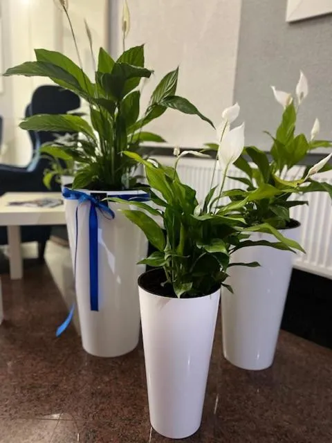 Lobby or reception in Great Polonia Świdnica City Center