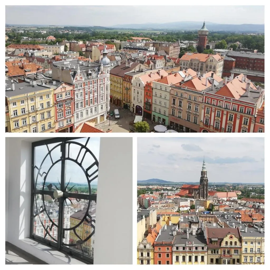 Bird's eye view in Great Polonia Świdnica City Center
