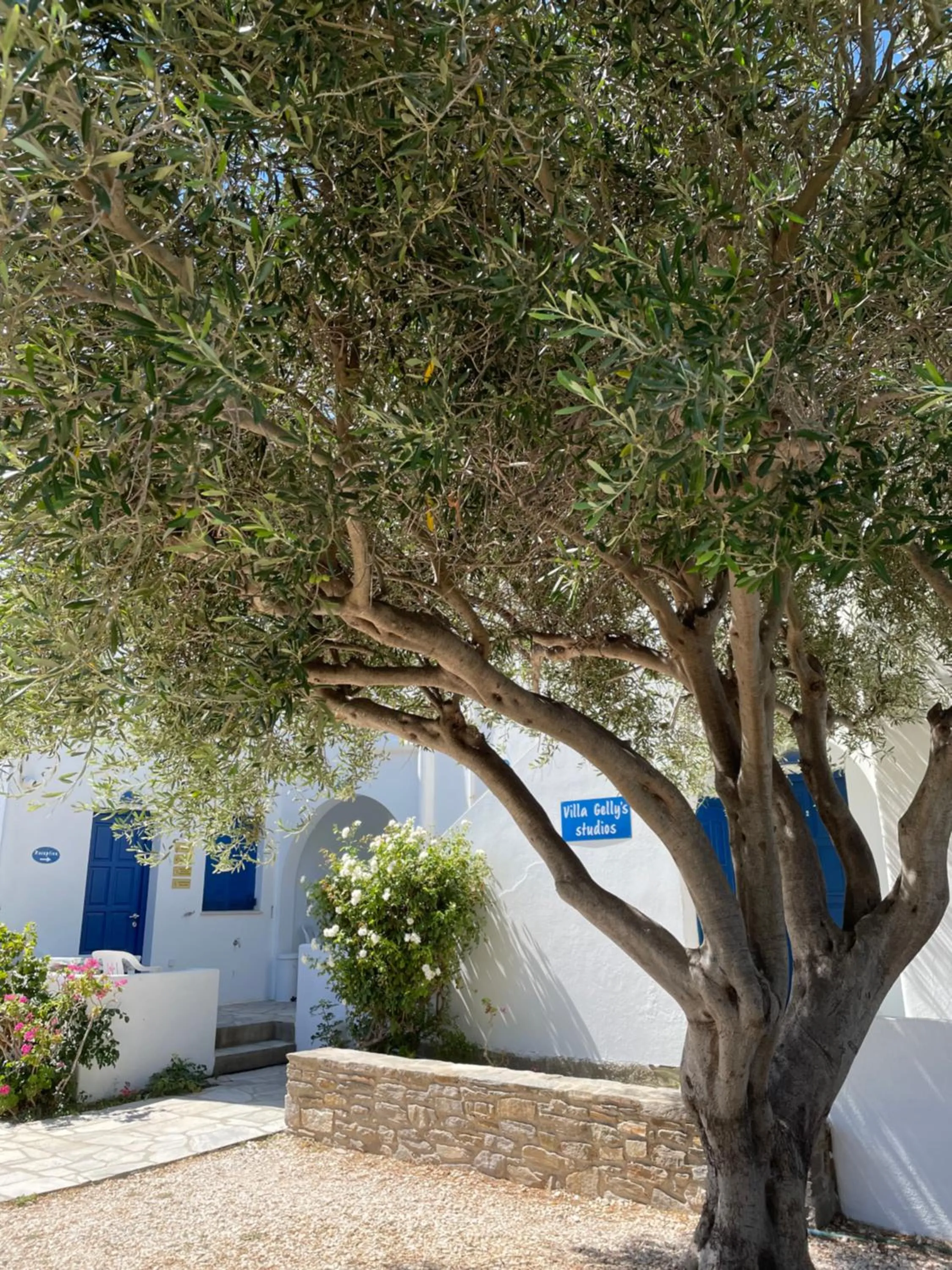 Facade/entrance in Villa Gelly's Studios