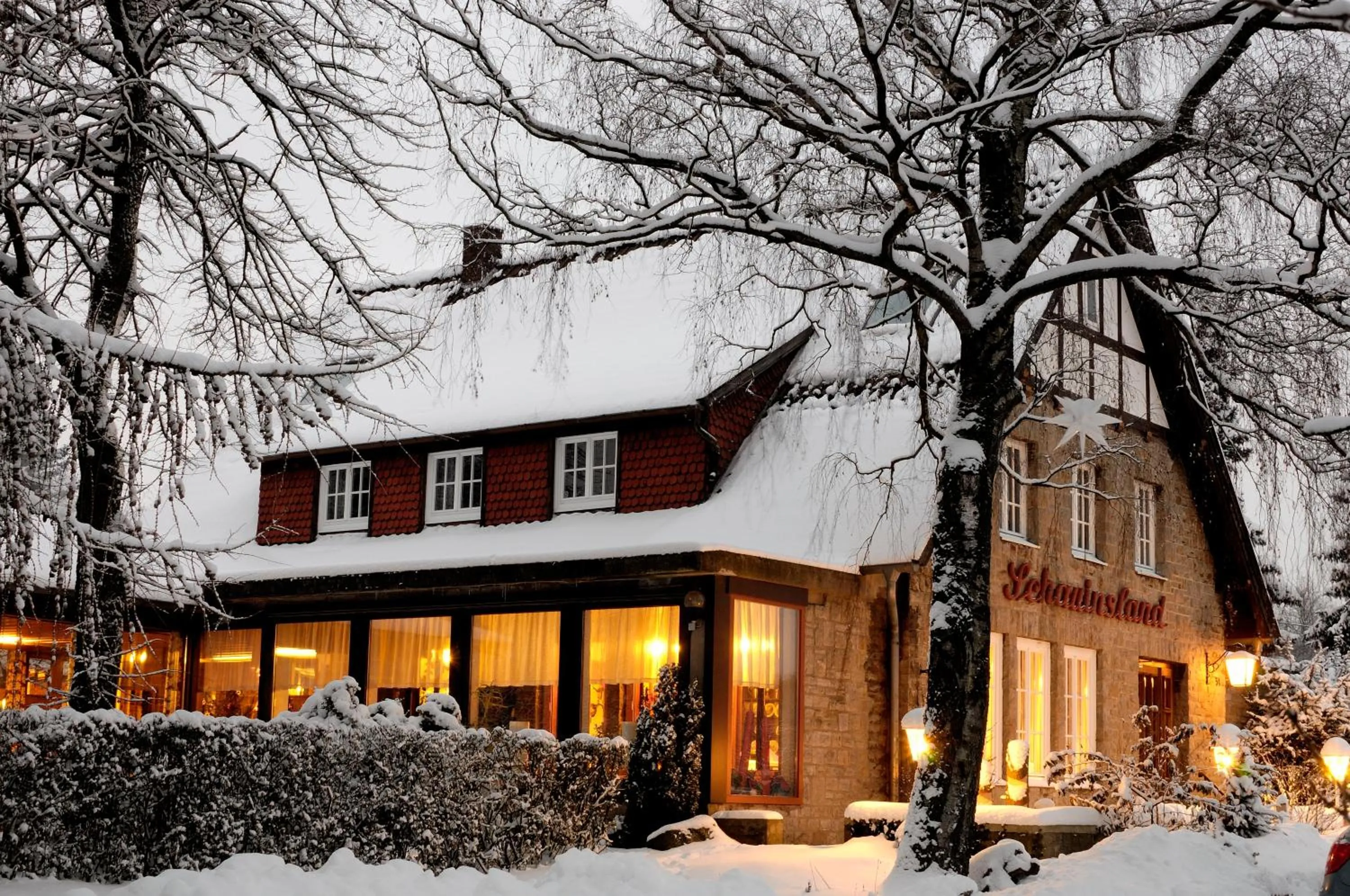 Day in Hotel-Café "Schauinsland"