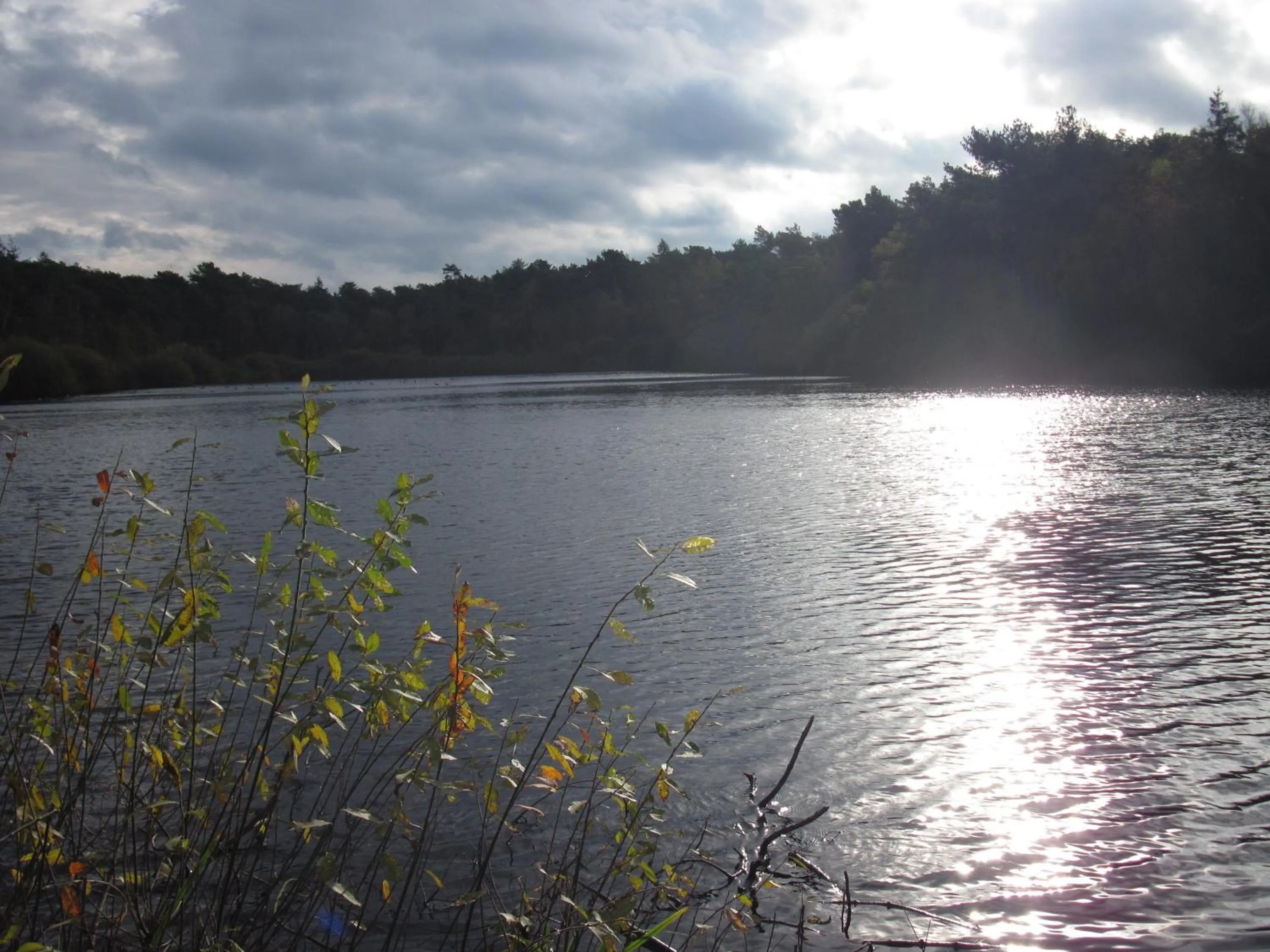 Hiking in Hotel-Café "Schauinsland"