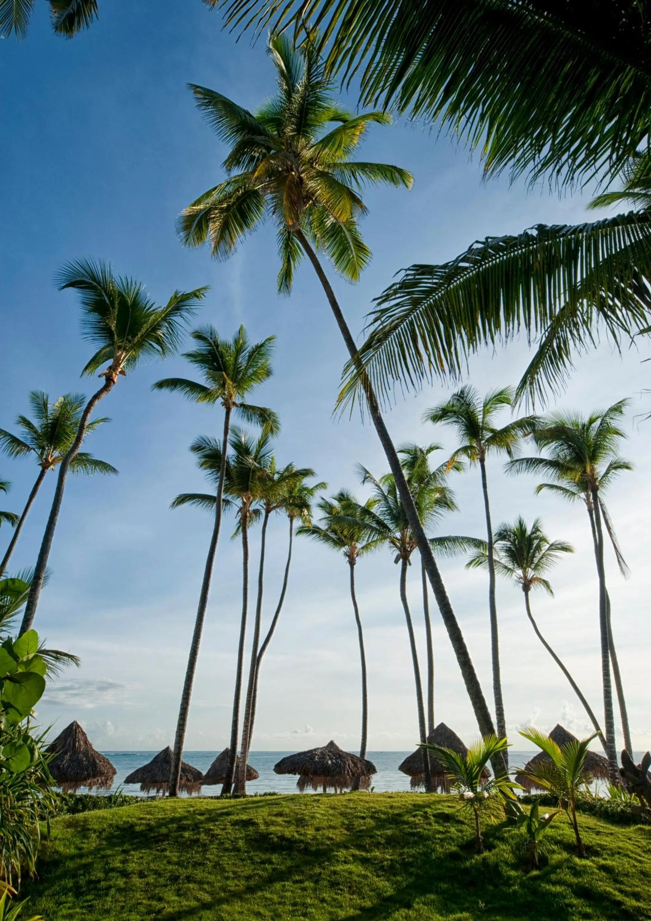 Day in Meliá Caribe Beach Resort-All Inclusive