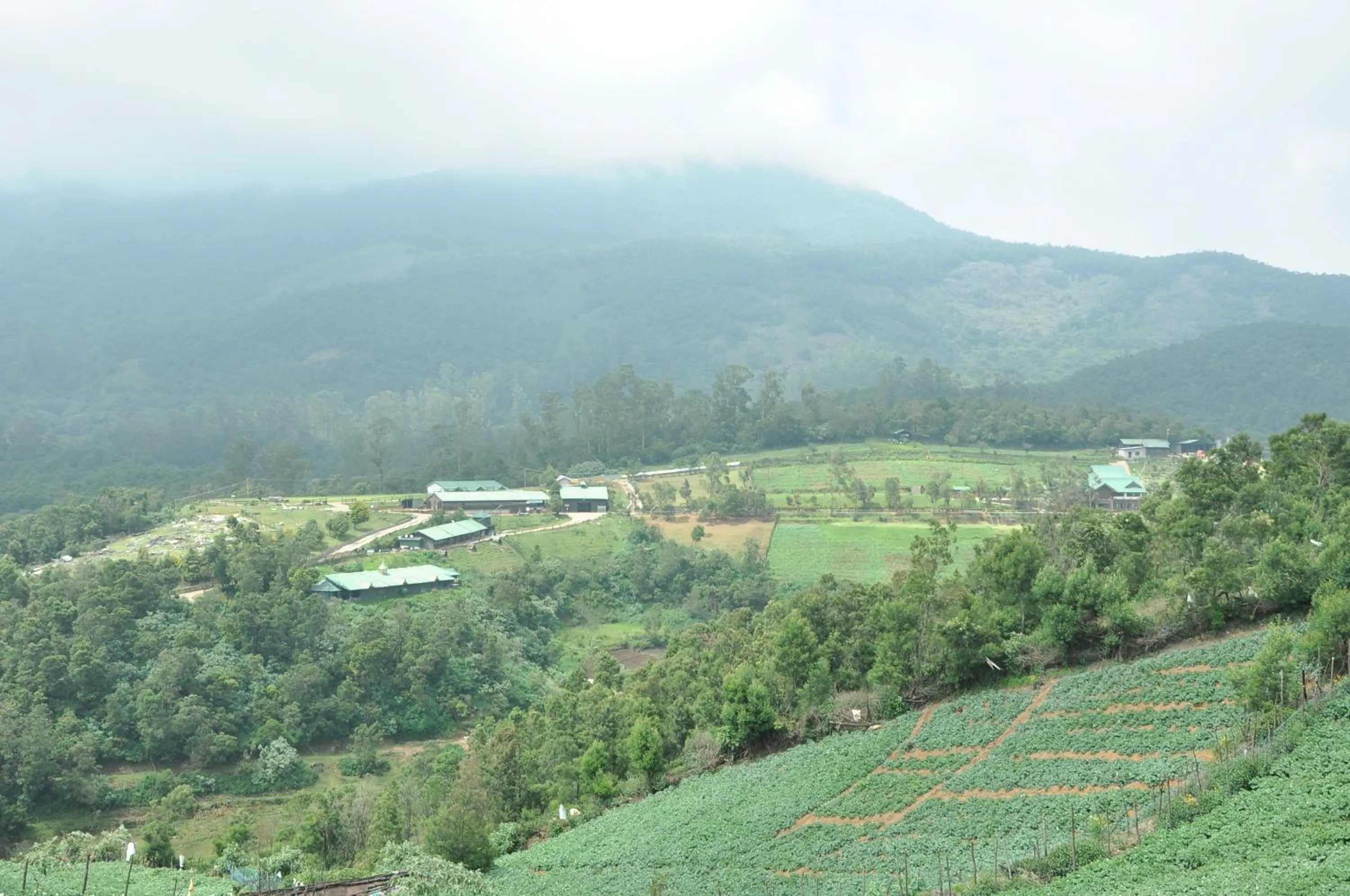 Day in Destiny - The Farm Resort