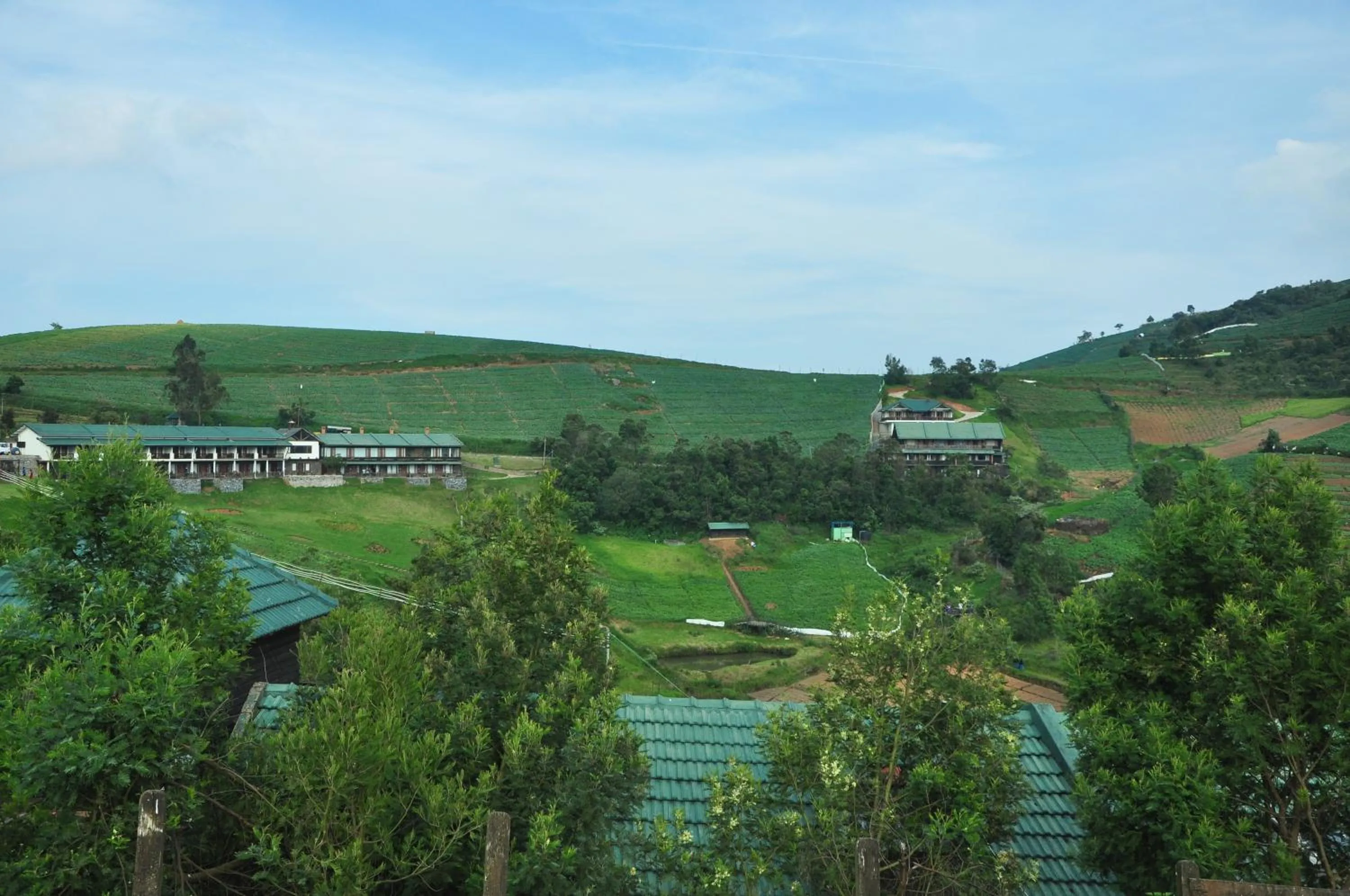 Day in Destiny - The Farm Resort