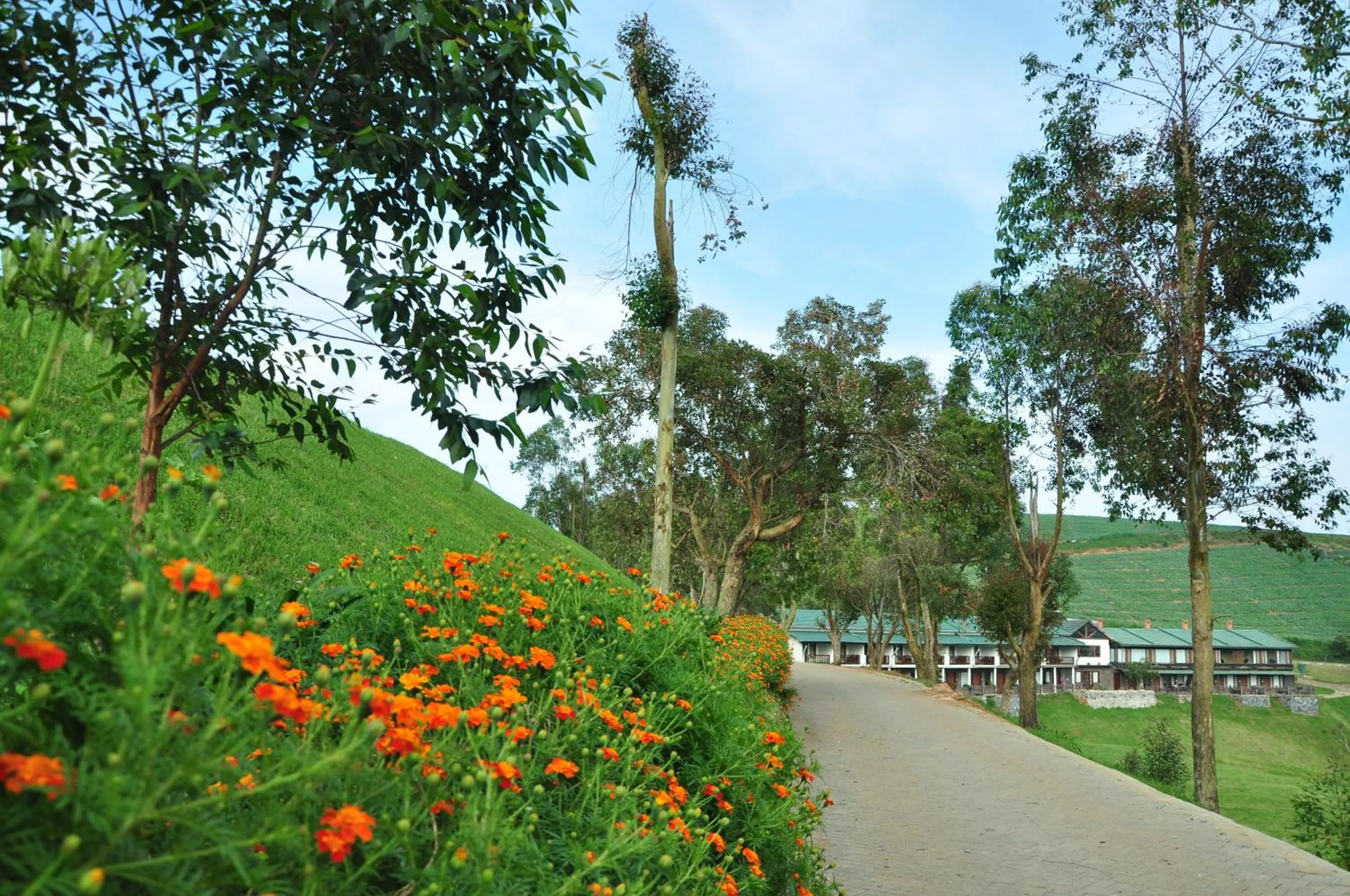 Day in Destiny - The Farm Resort