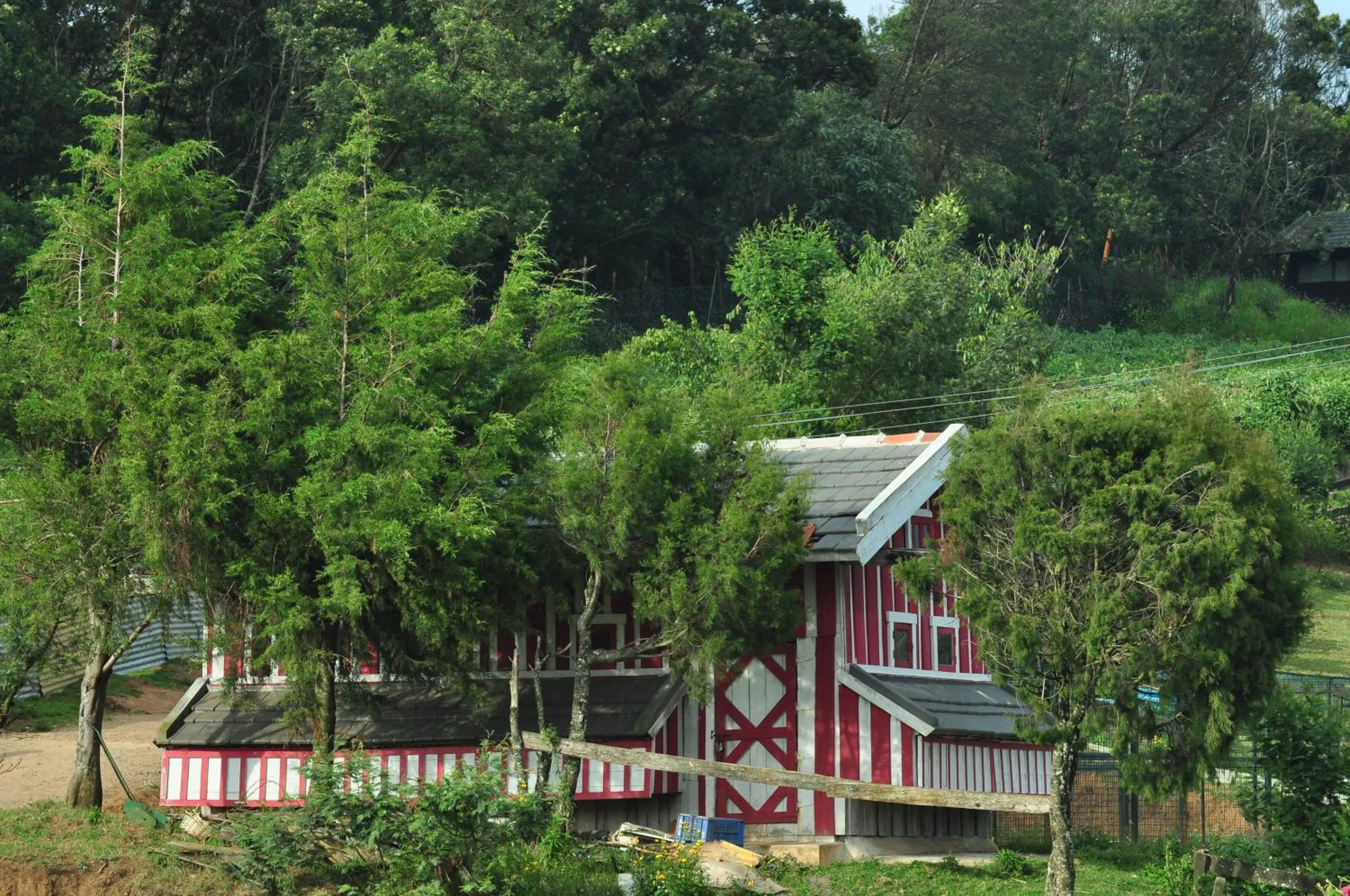 Day in Destiny - The Farm Resort