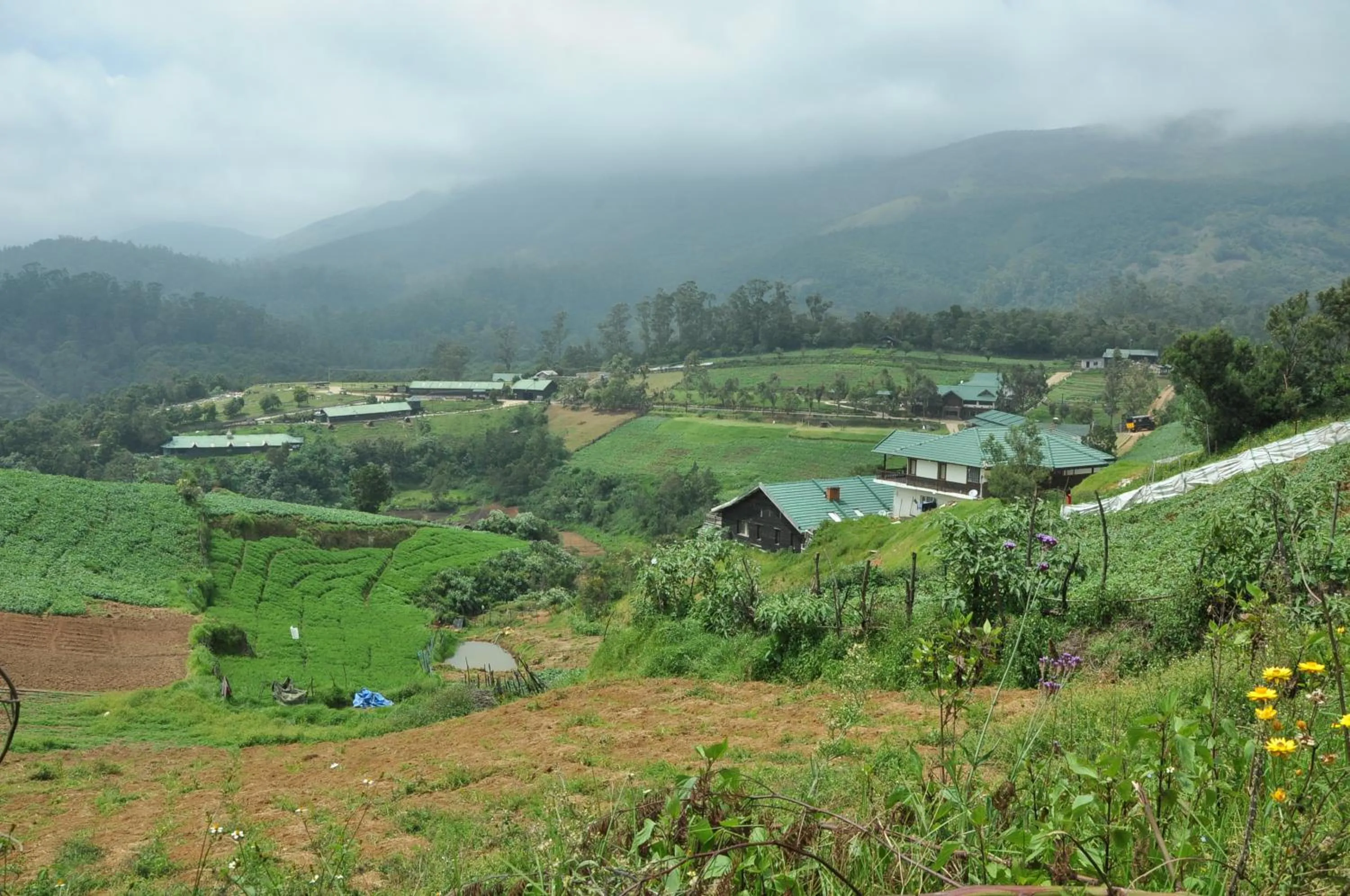 Day in Destiny - The Farm Resort