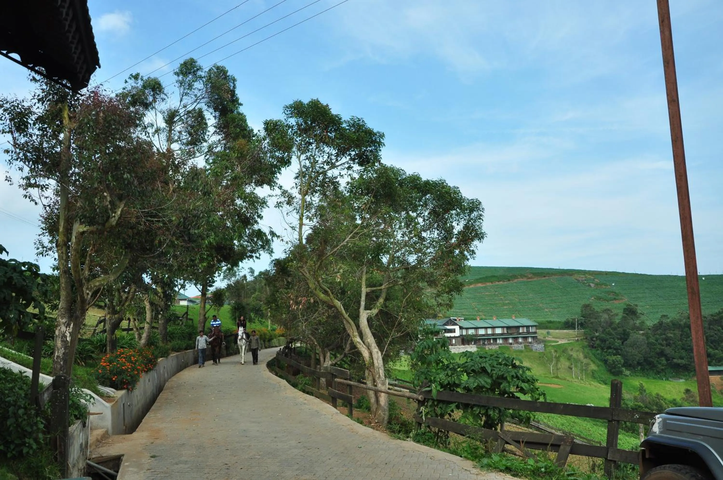 Day in Destiny - The Farm Resort