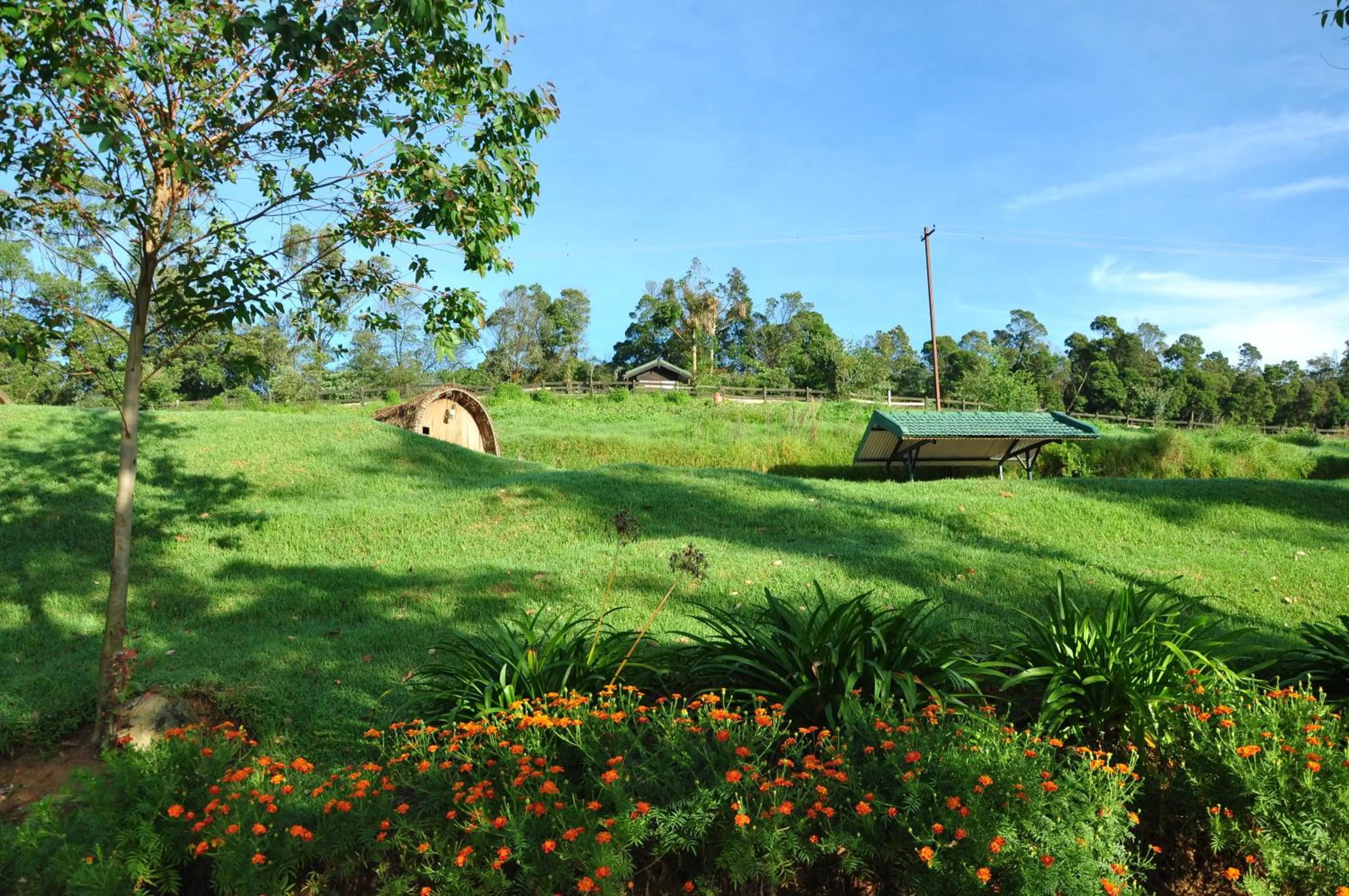 Day in Destiny - The Farm Resort