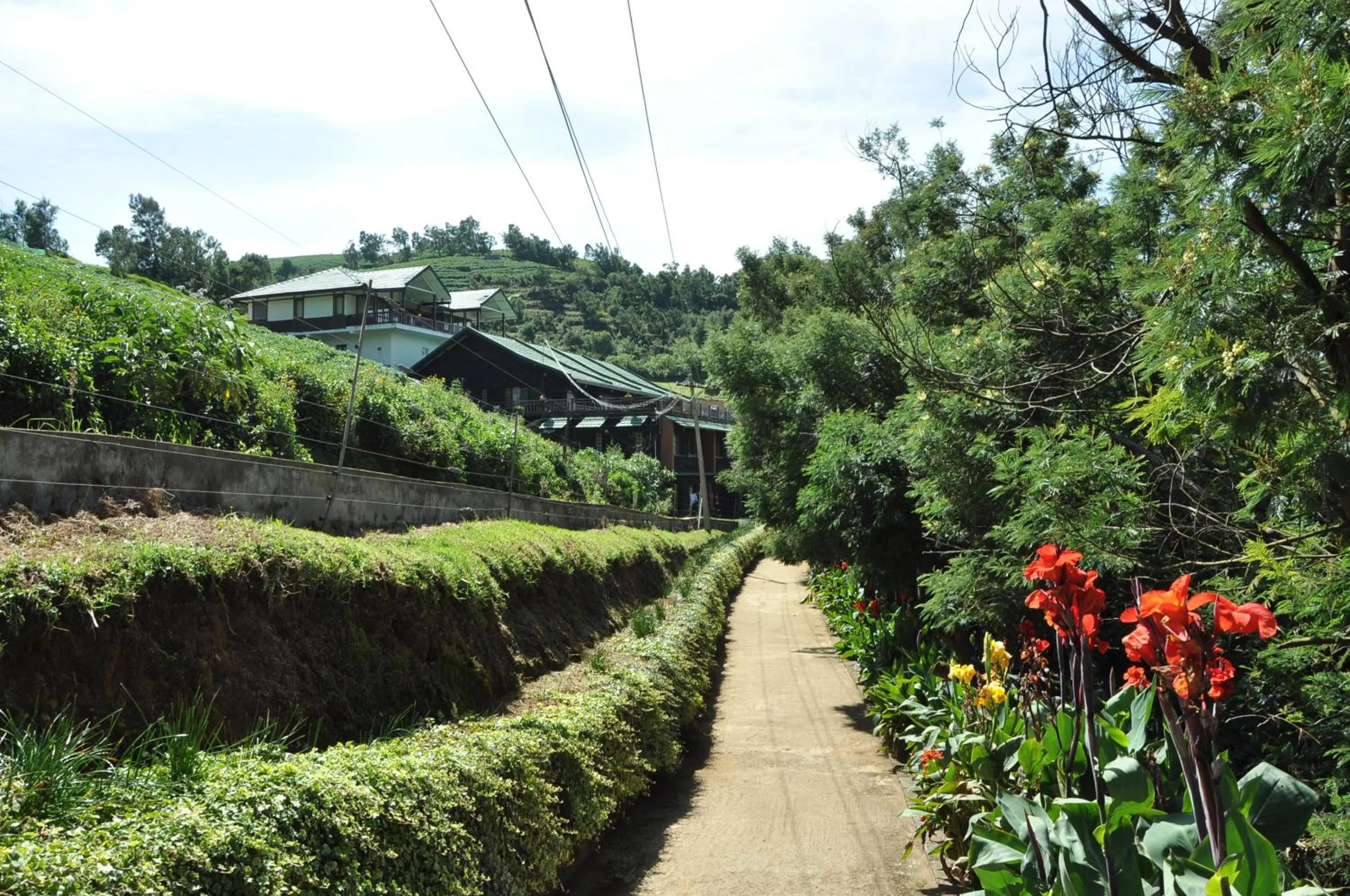 Day in Destiny - The Farm Resort