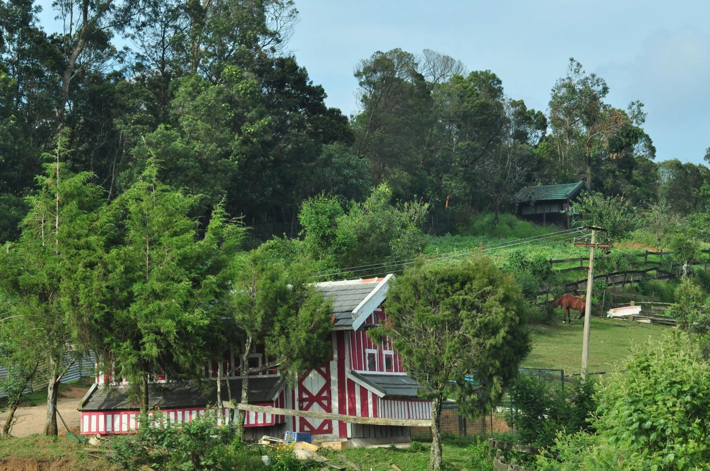 Neighbourhood in Destiny - The Farm Resort