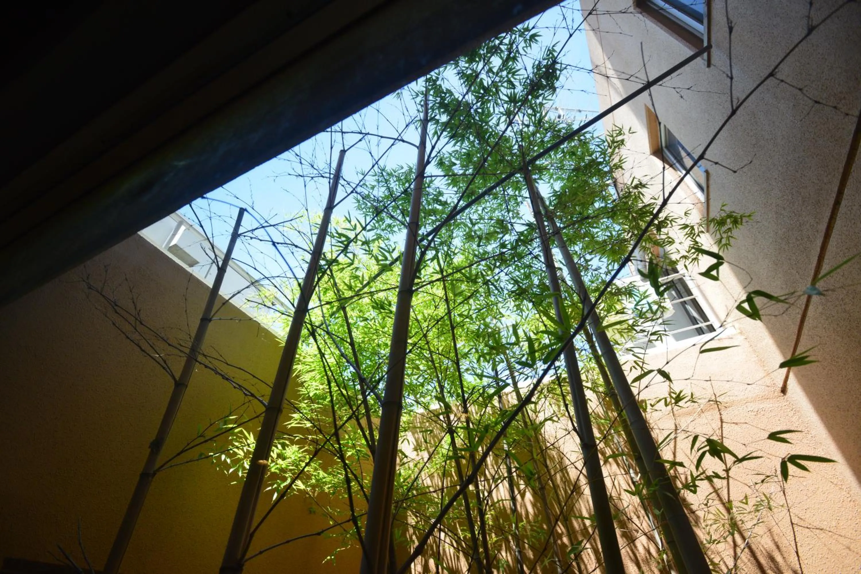 Yamato Kashihara City Hotel