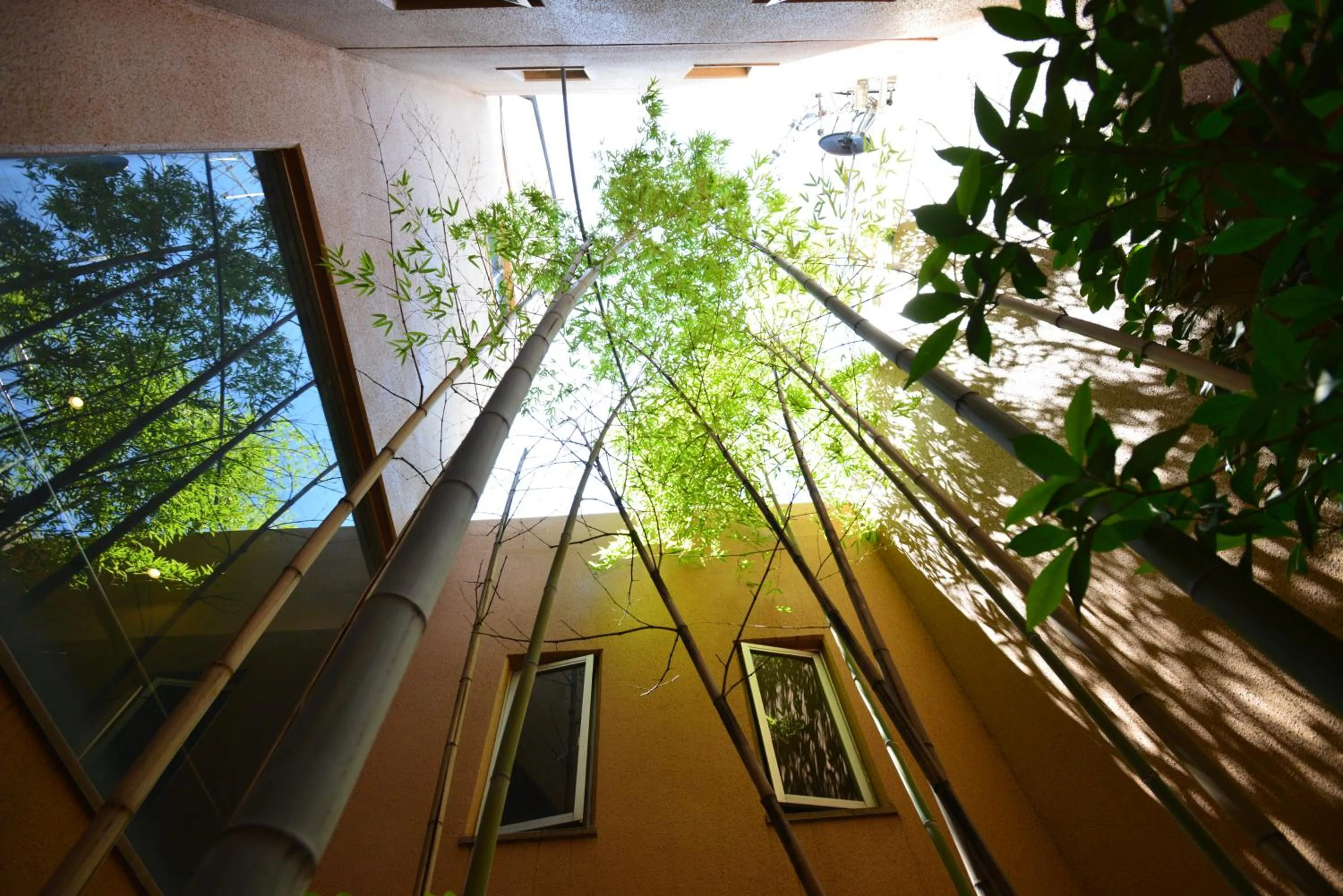 Patio in Yamato Kashihara City Hotel